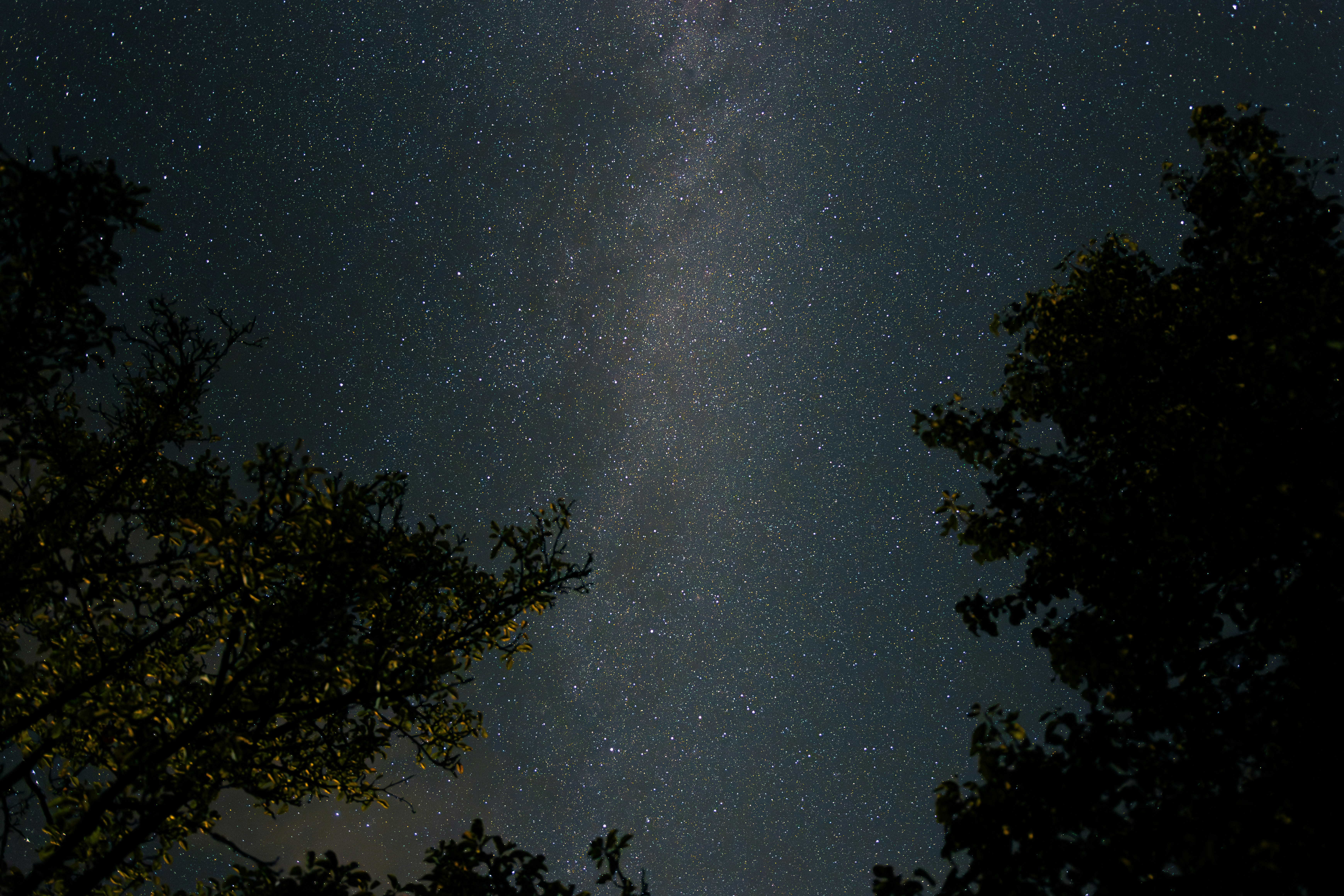 Photo by joachim_pressl