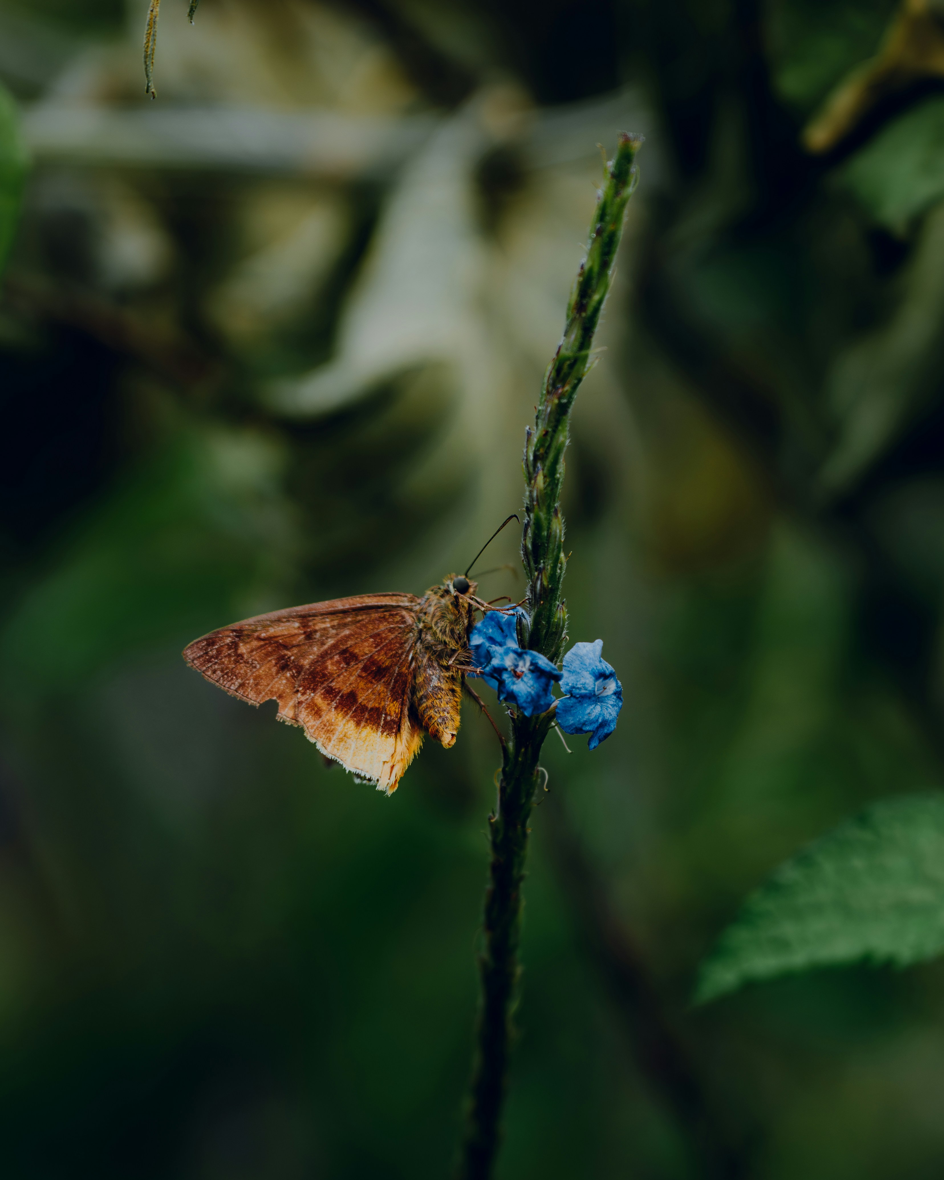 Photo by elianna_gill03