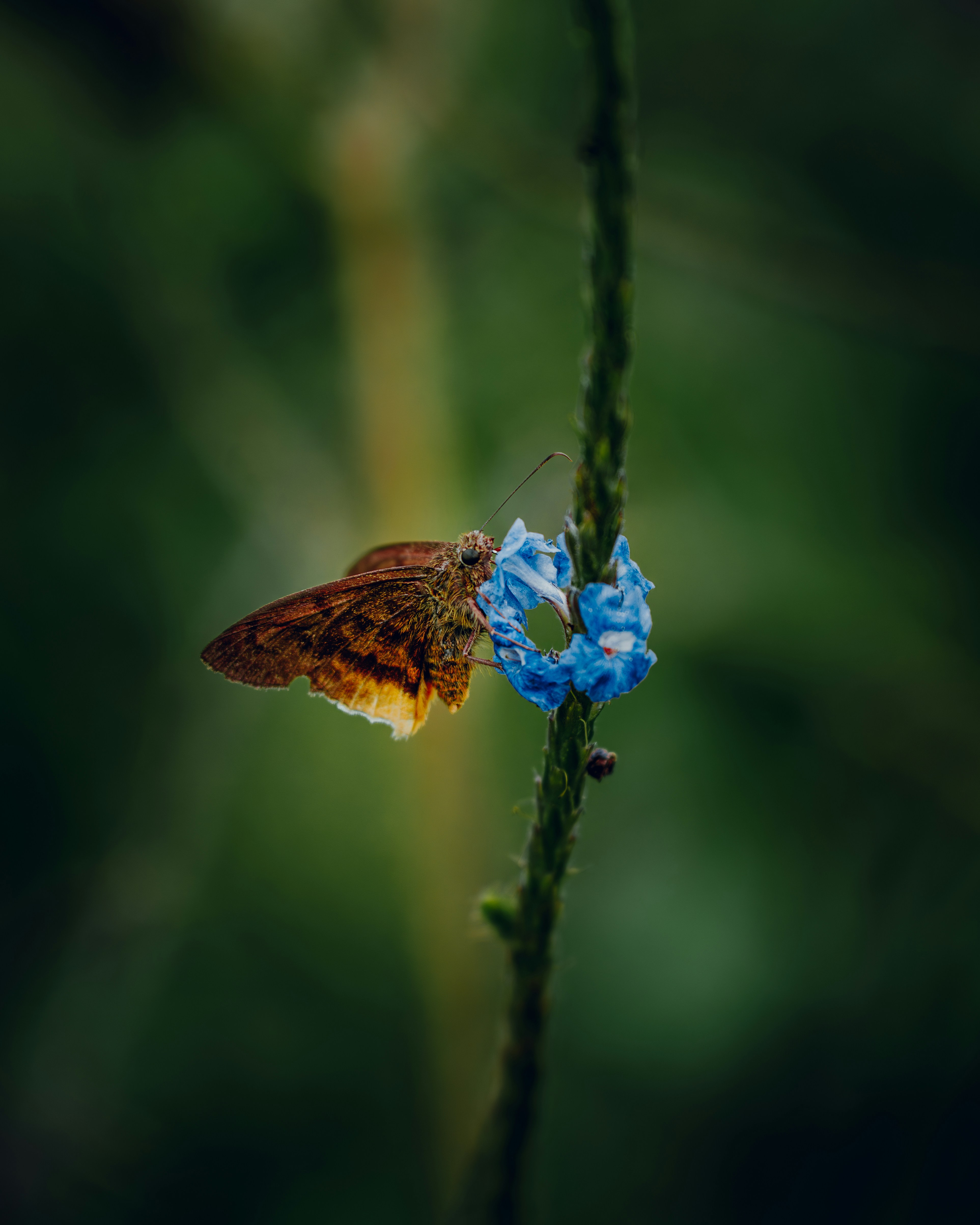 Photo by elianna_gill03