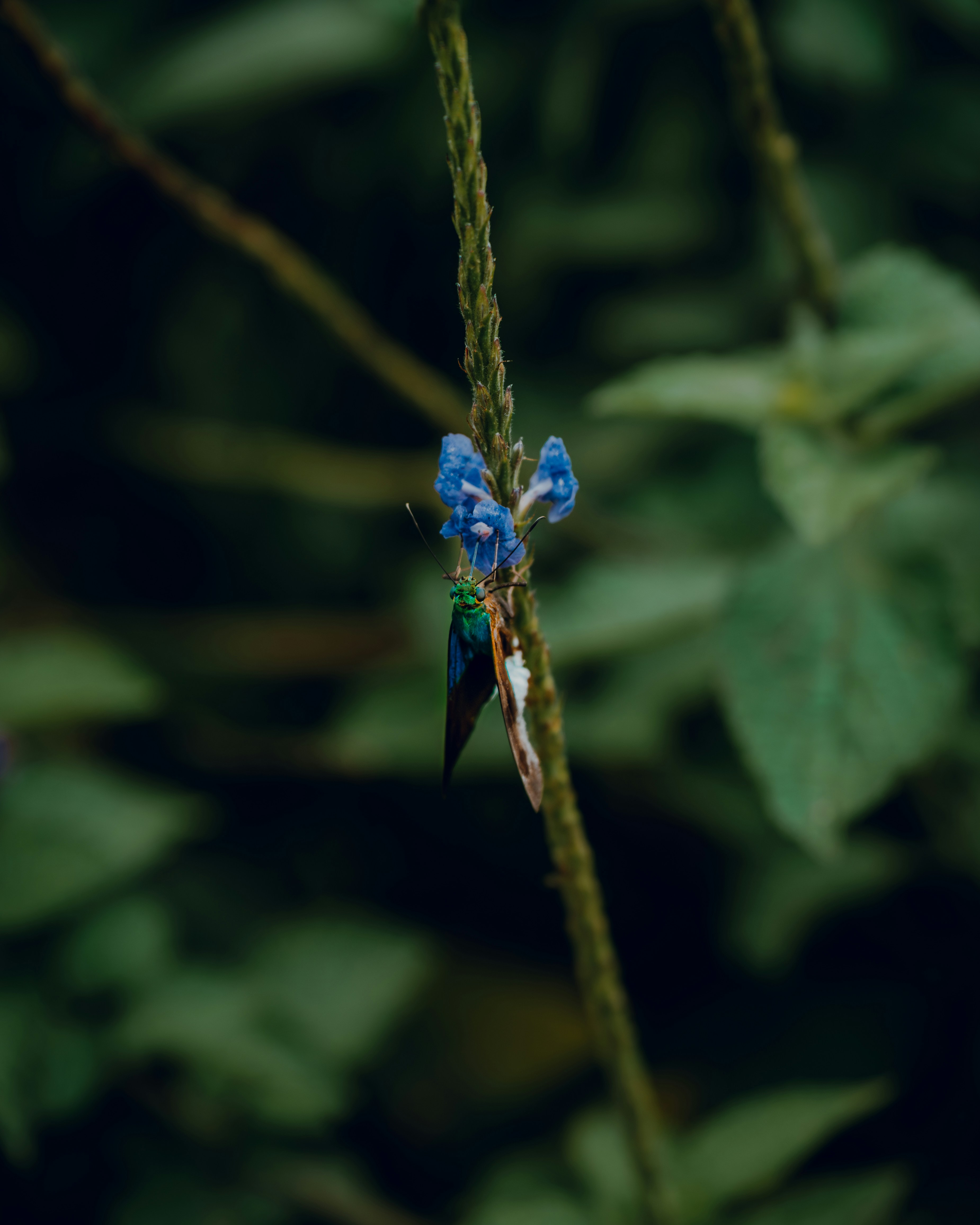 Photo by elianna_gill03