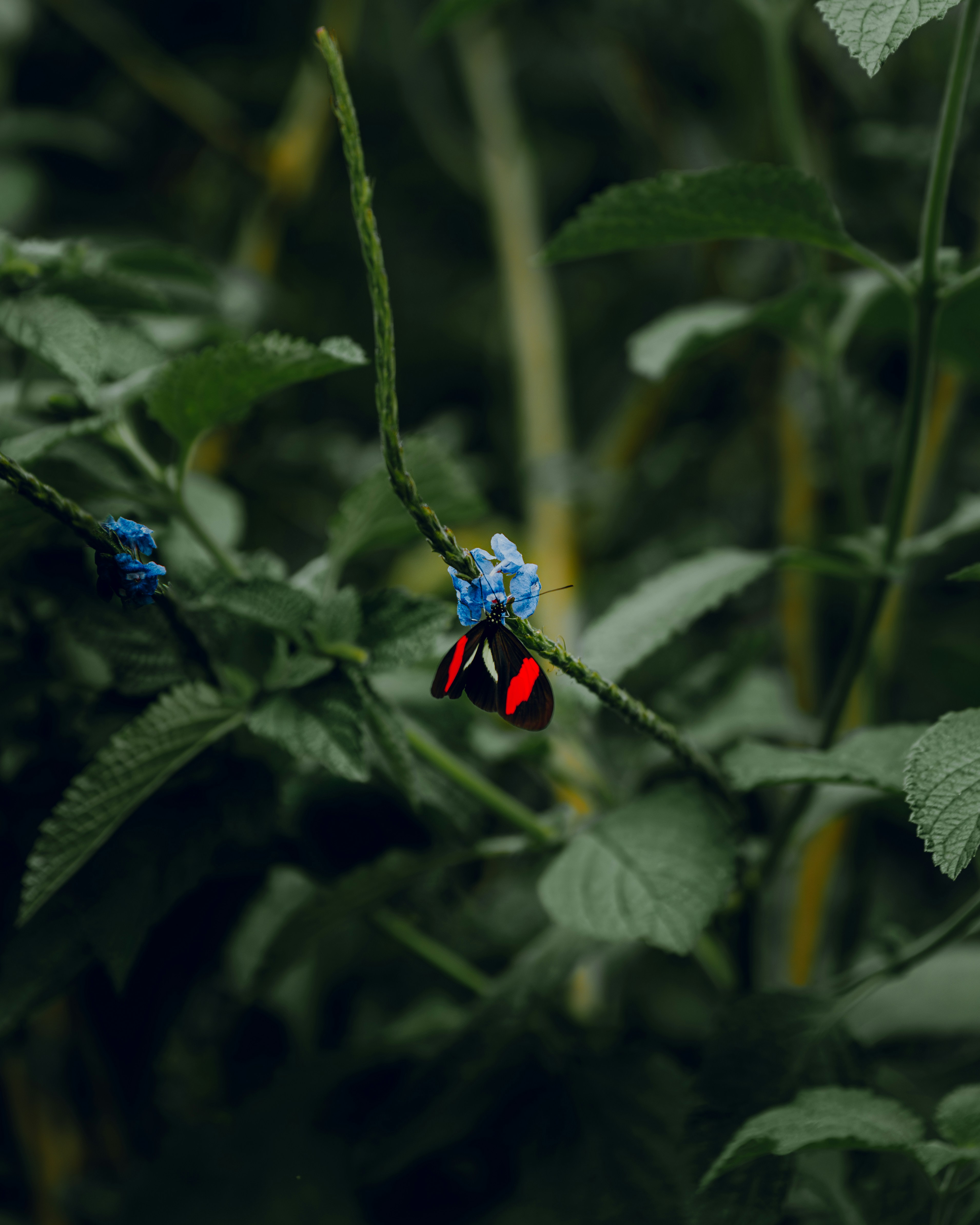 Photo by elianna_gill03