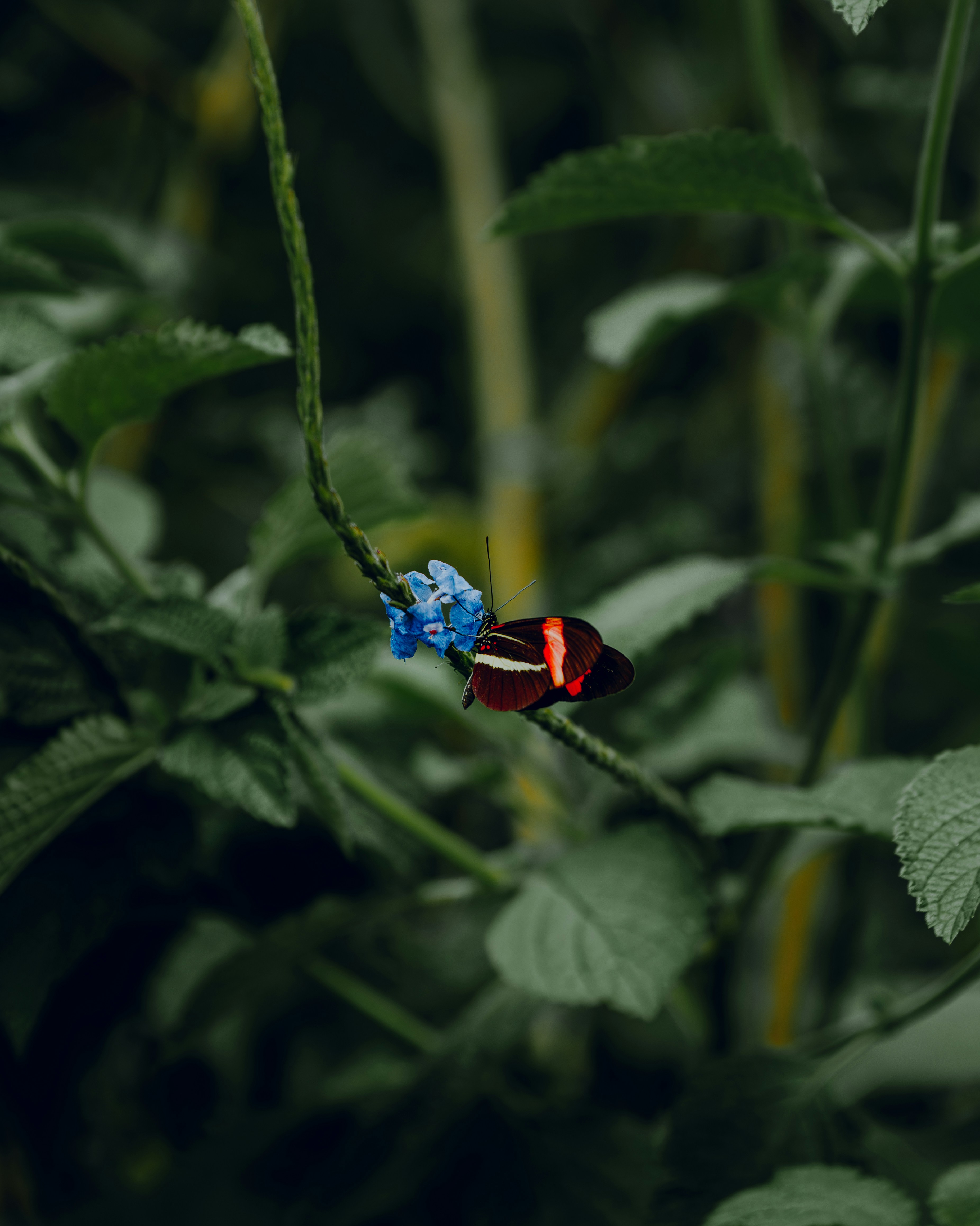 Photo by elianna_gill03