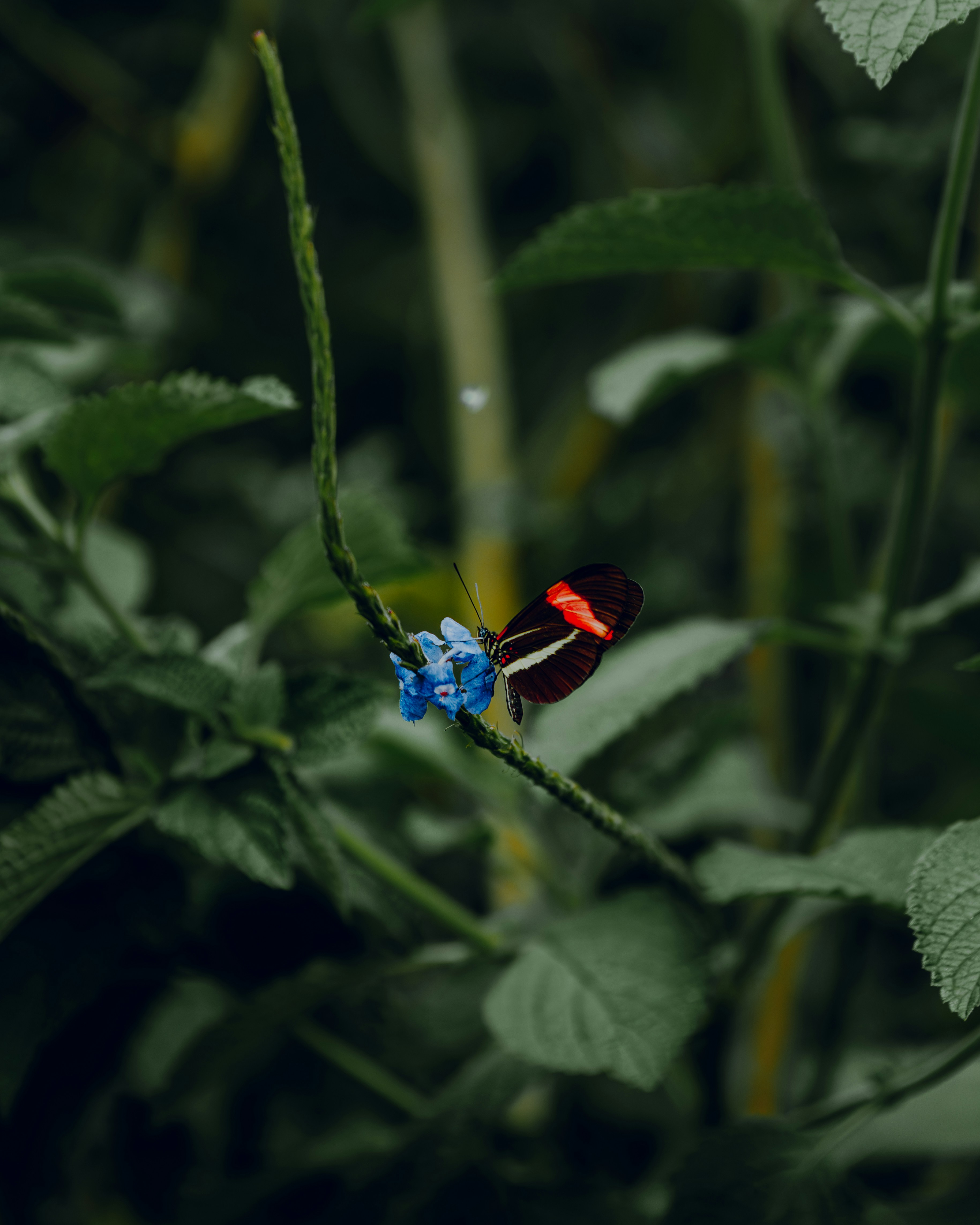 Photo by elianna_gill03