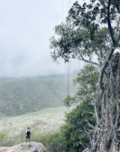 Traveler enjoying a scenic hike overlooking rolling green hills