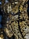 Ornate lamps with intricate cut-out patterns allow light to shine through, creating an elegant, geometric and floral design. The dark metal contrasts with the golden glow of the lights, enhancing the decorative patterns.