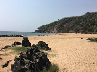 A secluded beach with golden sand and rocky formations scattered across the shoreline. In the background, lush green hills rise, covered with tropical vegetation, including palm trees. The sea extends to the left, its waves gently meeting the beach. The sky is clear and blue, creating a serene atmosphere.