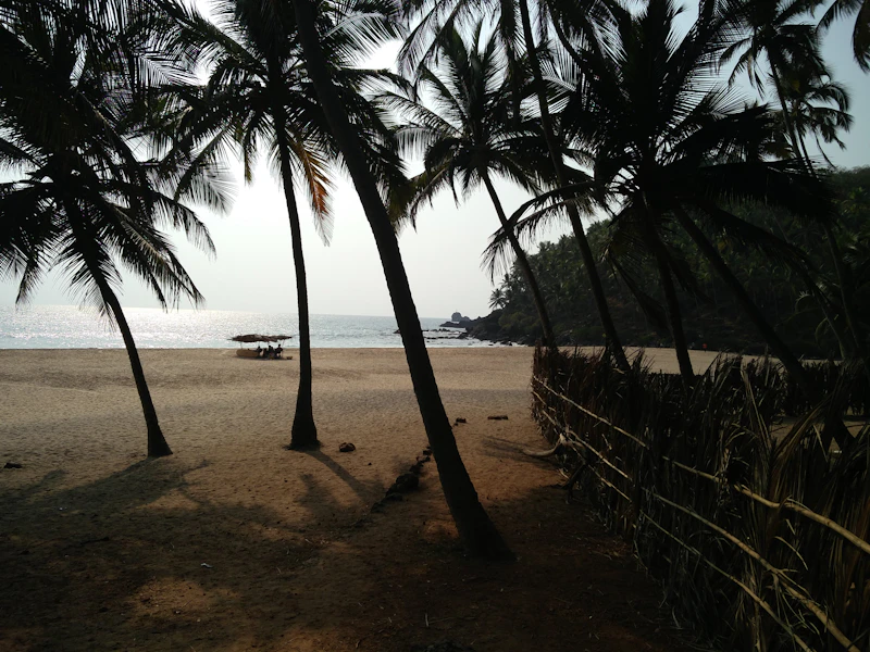 Goa beach with palm trees