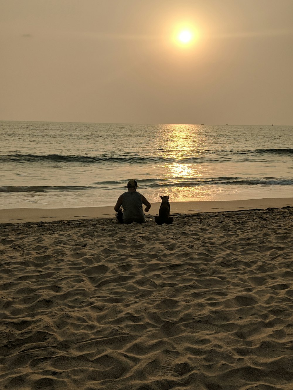eine Person, die mit einem Hund am Strand sitzt