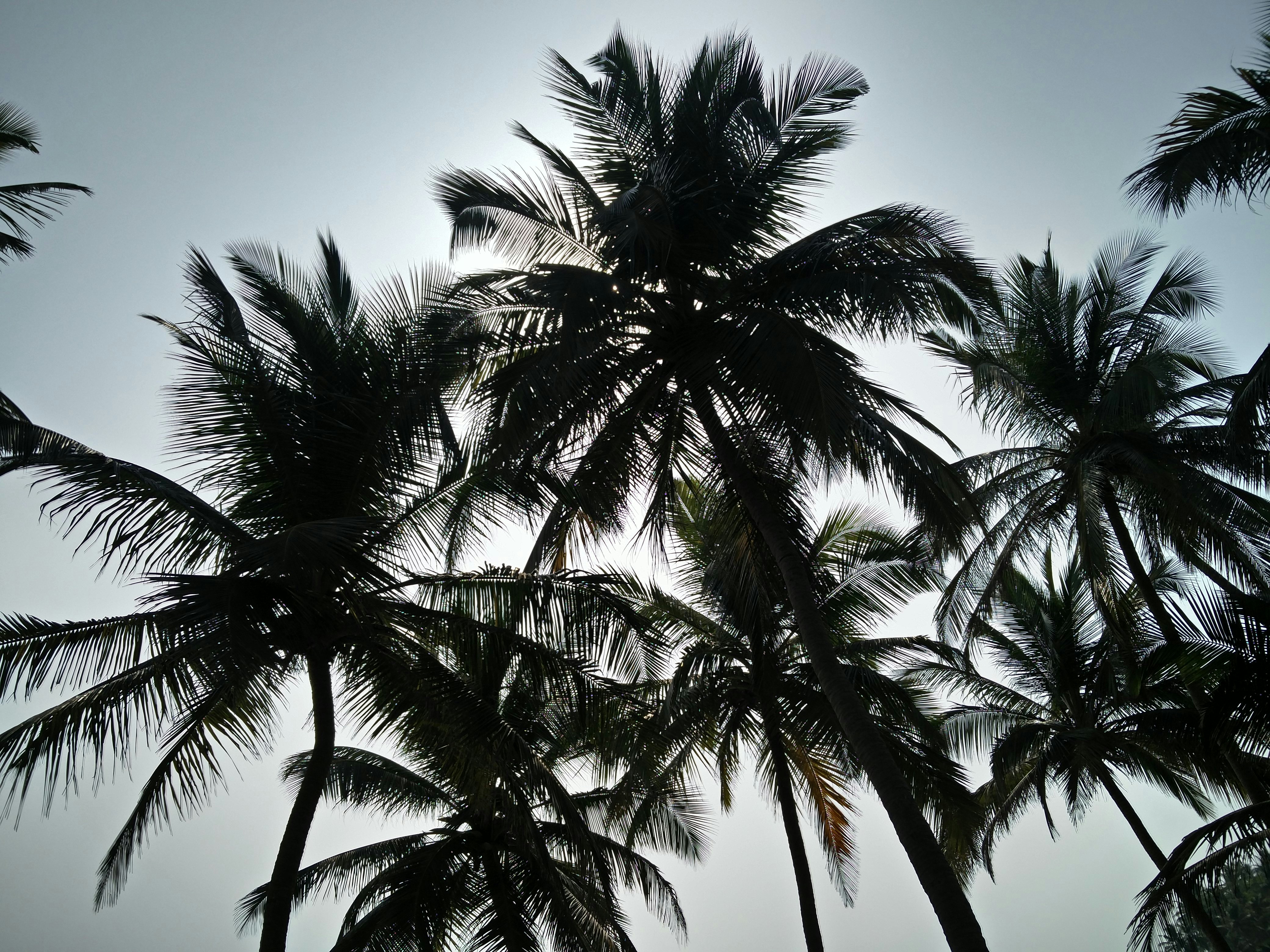 Photo by zoshuacolah