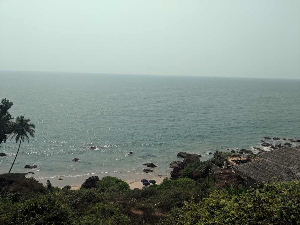 a view of the ocean from the top of a hill