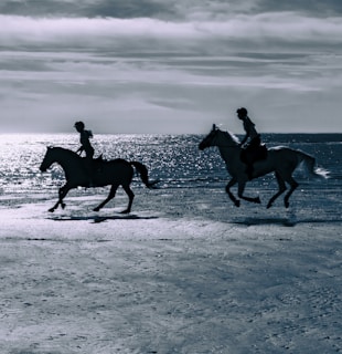 two people riding horses on a beach near the ocean