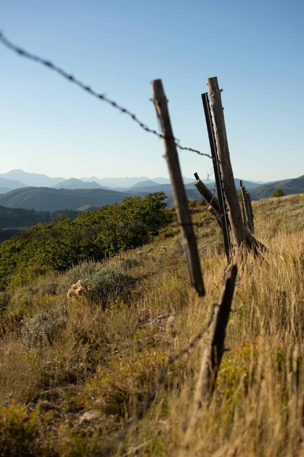 a wooden fence in a grassy field with mountains in the background