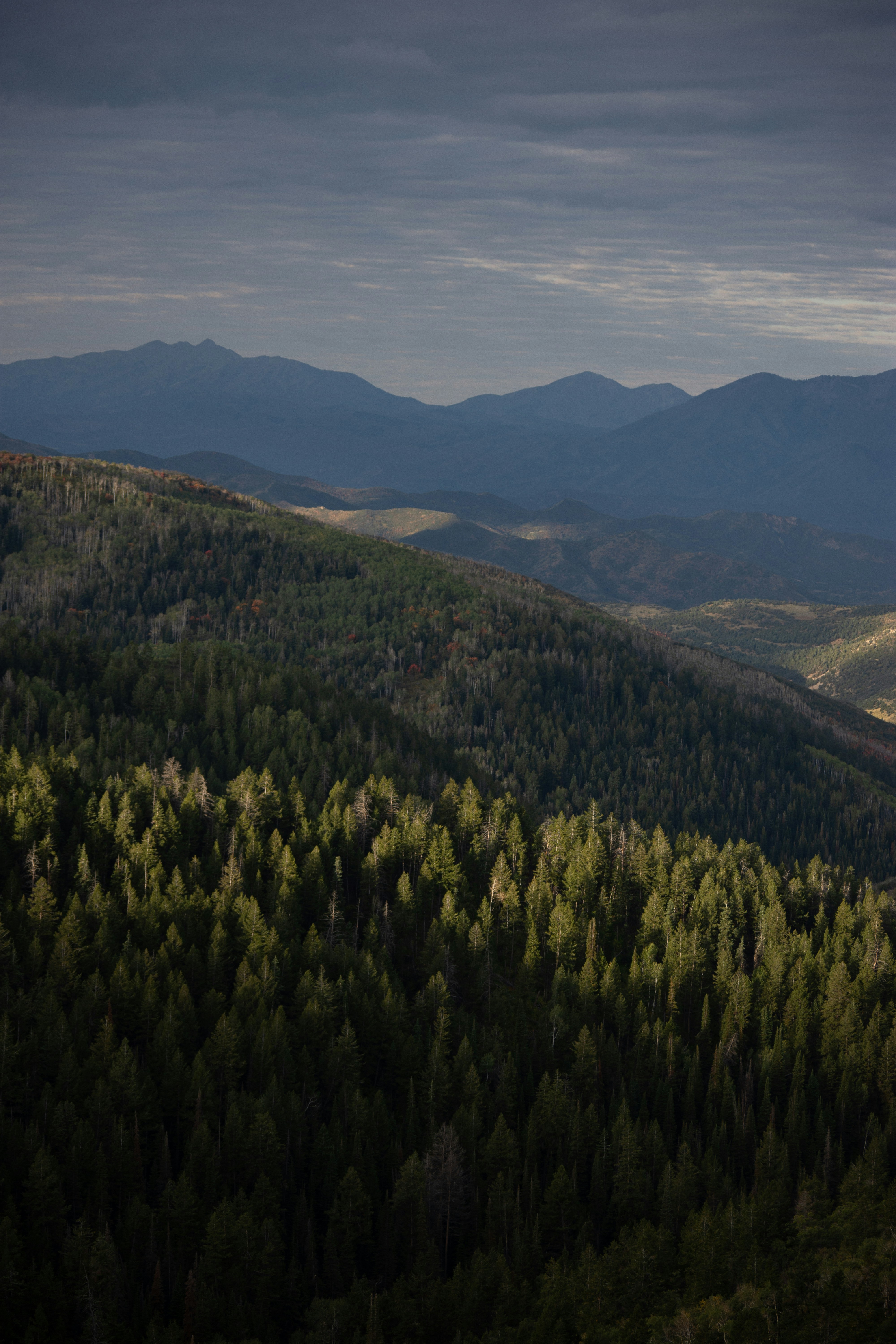 Photo by alexmoliski