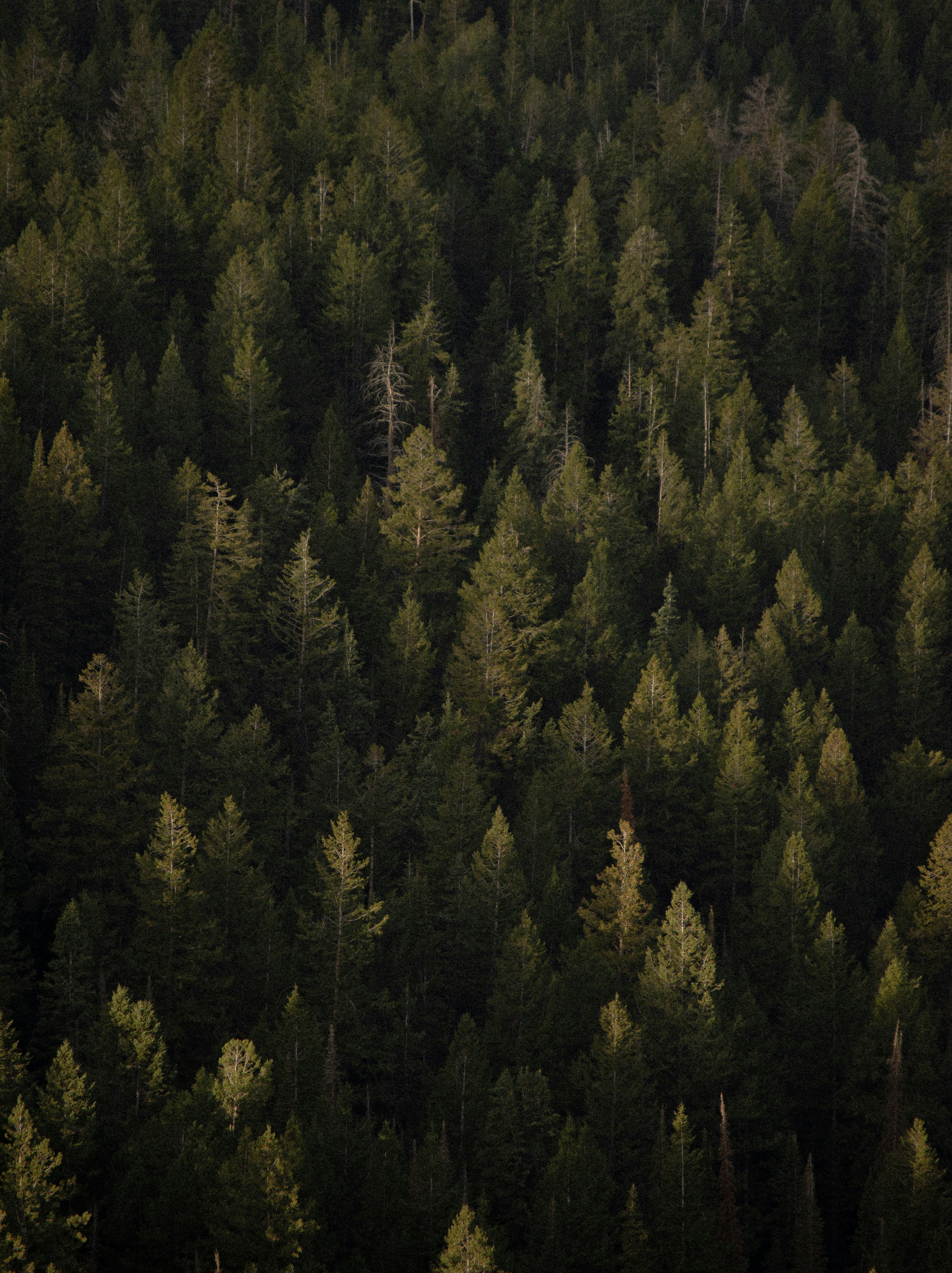 Photo by alexmoliski