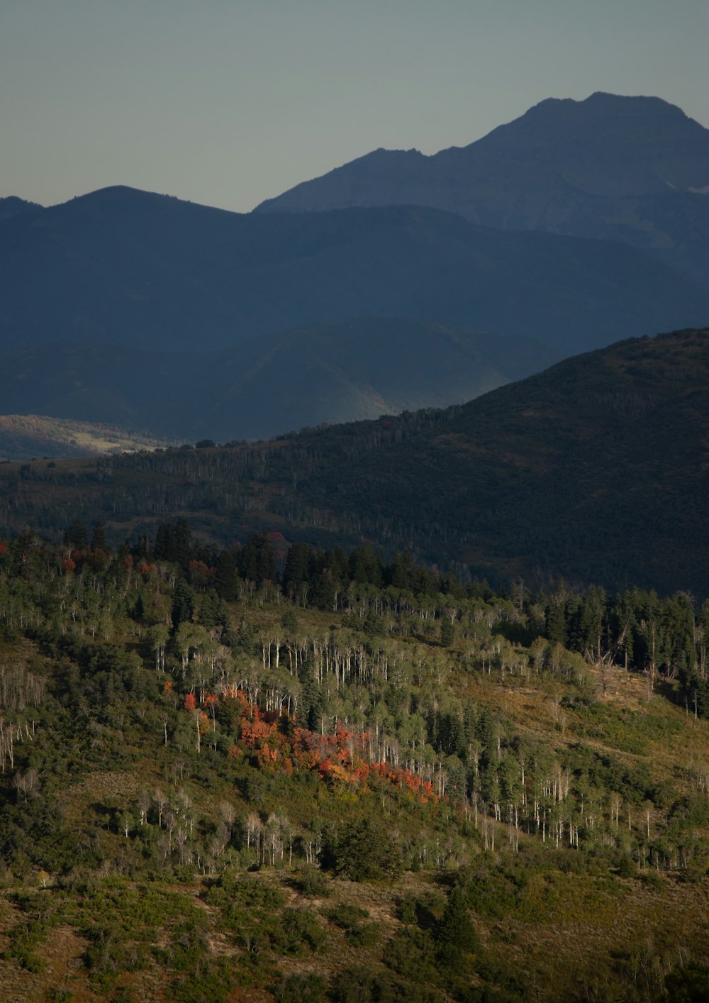 a mountain range with trees and mountains in the background