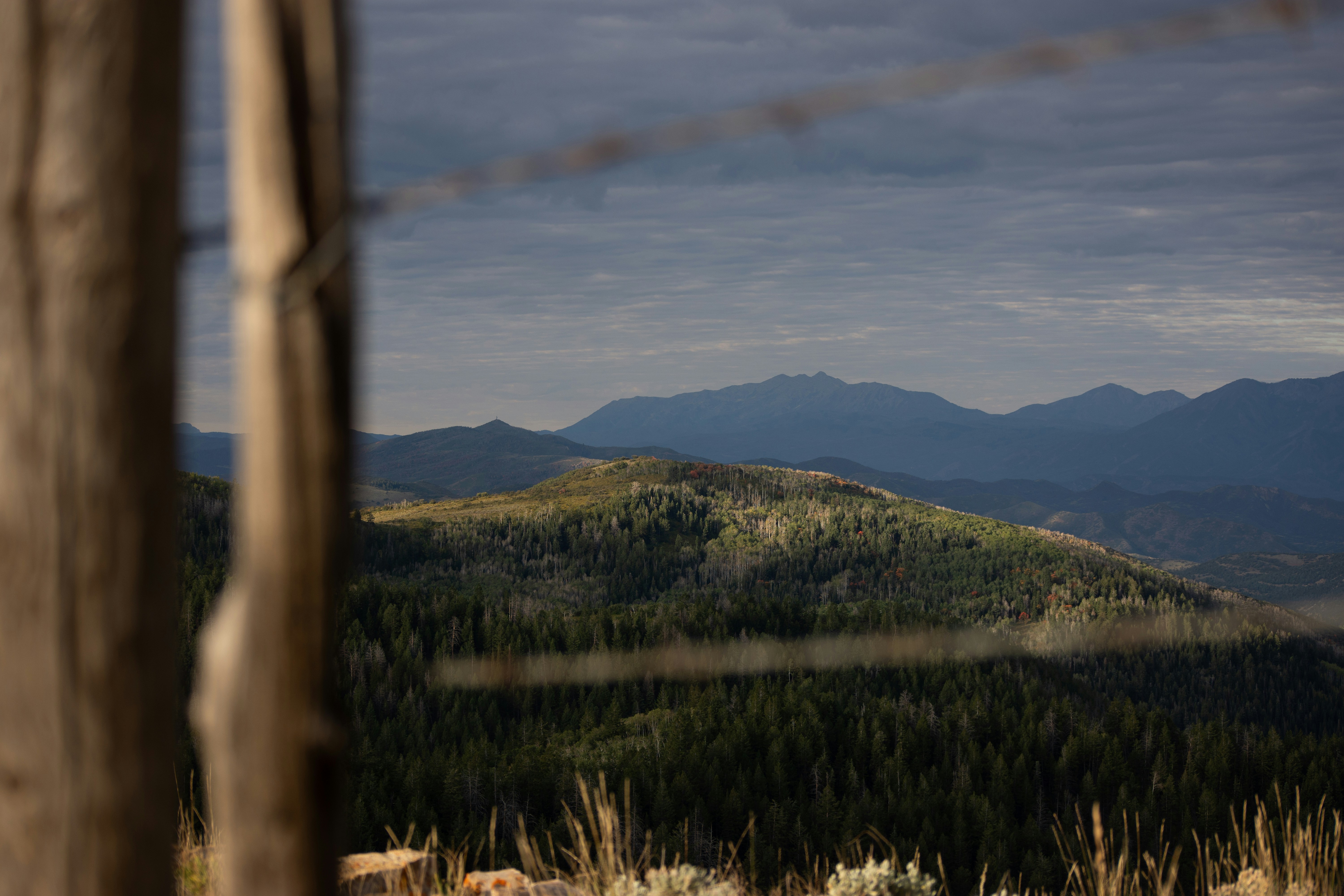 Photo by alexmoliski