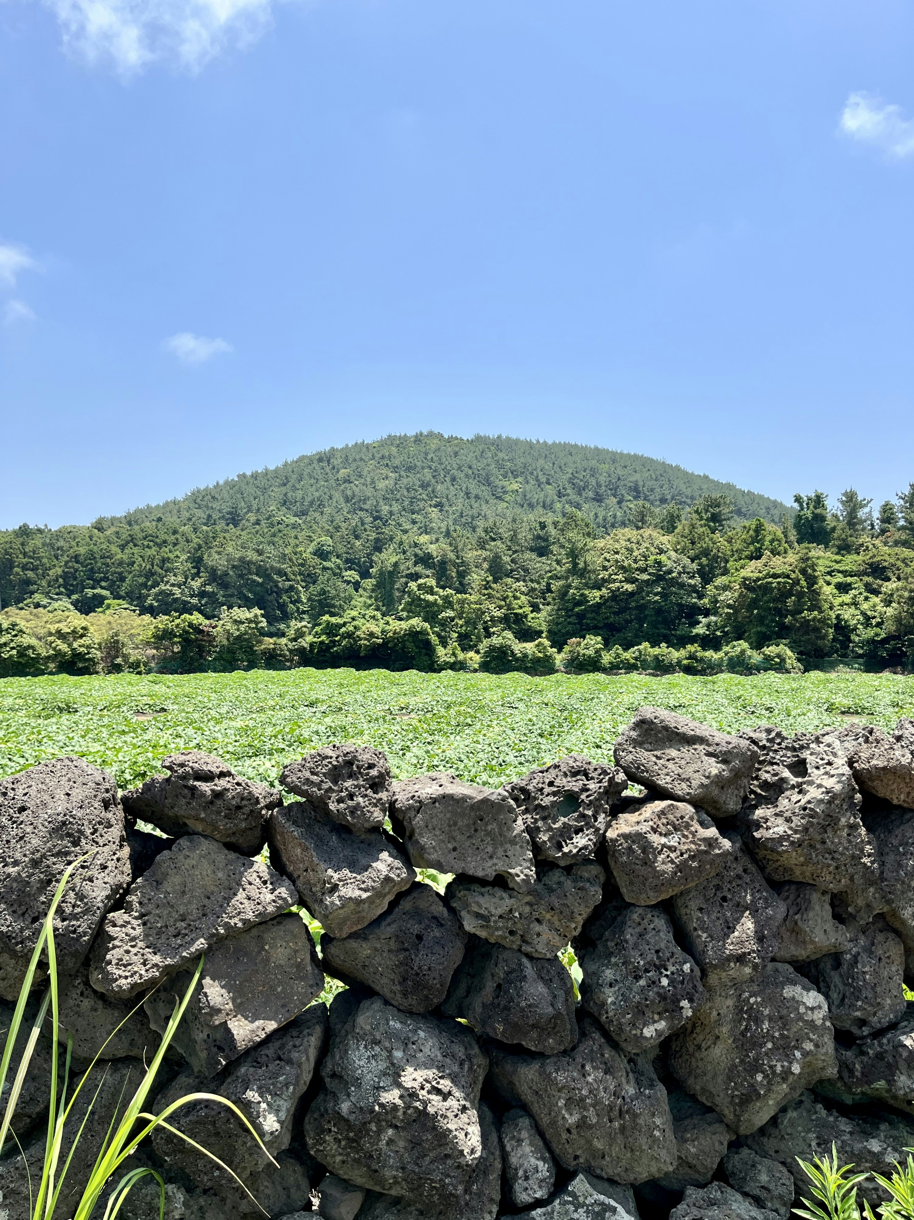 Photo by ezgideliklitas