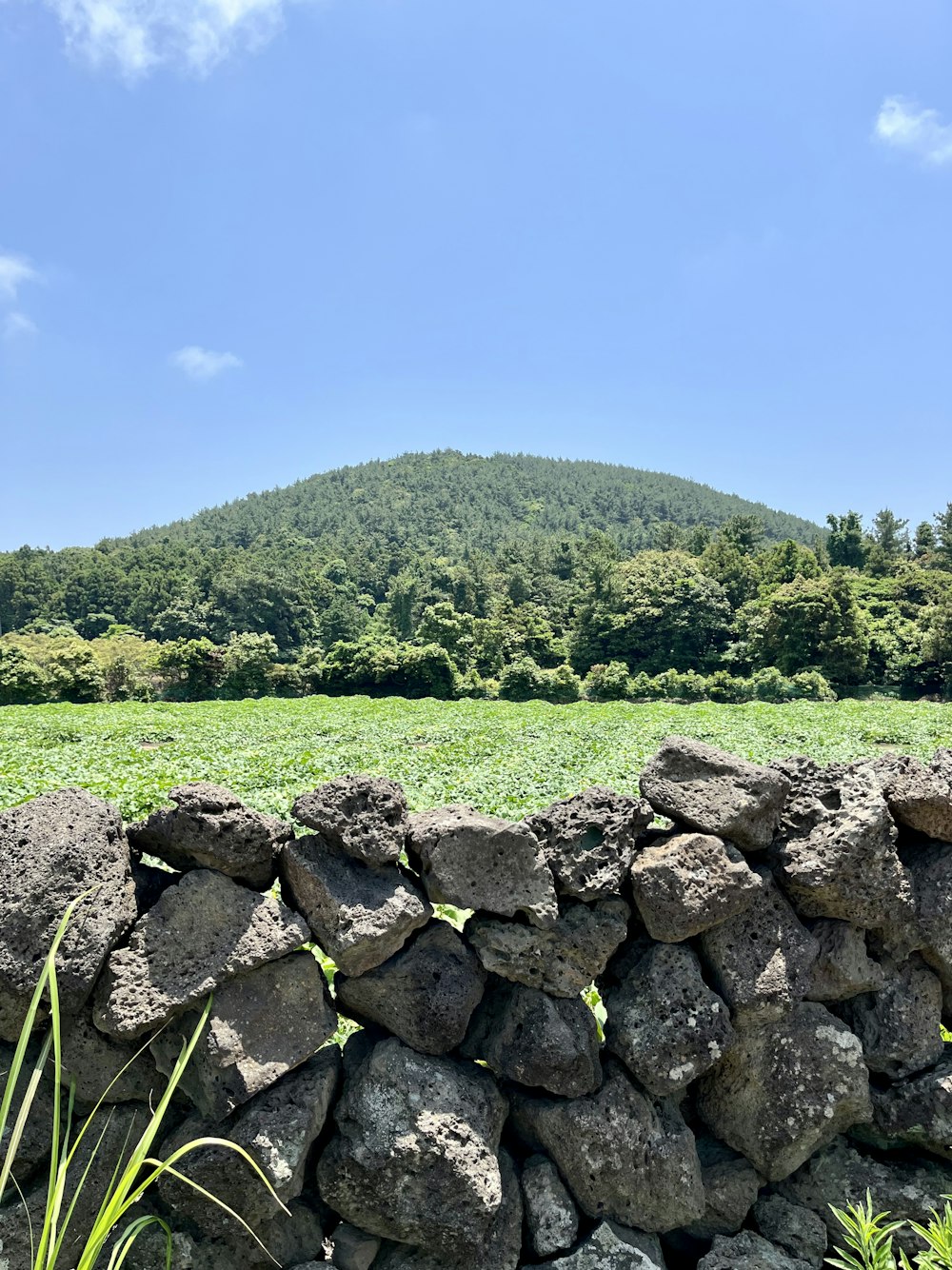 a stone wall in a field with a mountain in the background