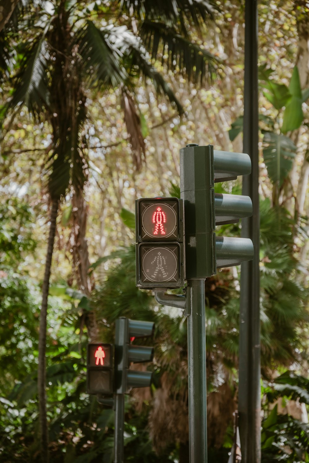 a couple of traffic lights sitting next to each other