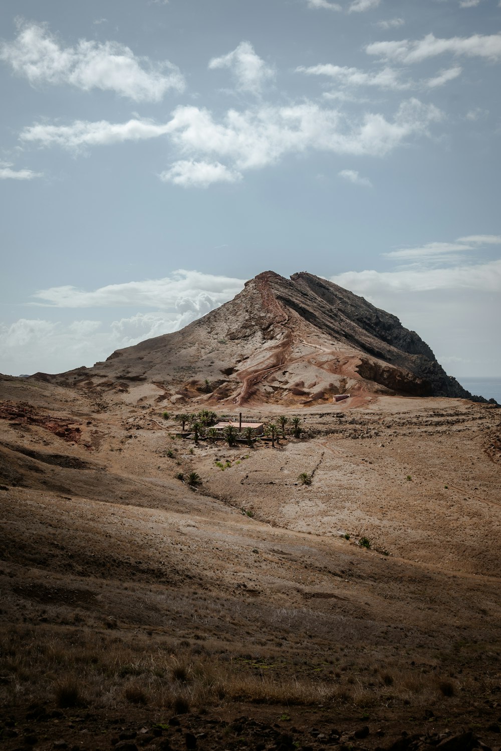 a hill with a small tree on top of it