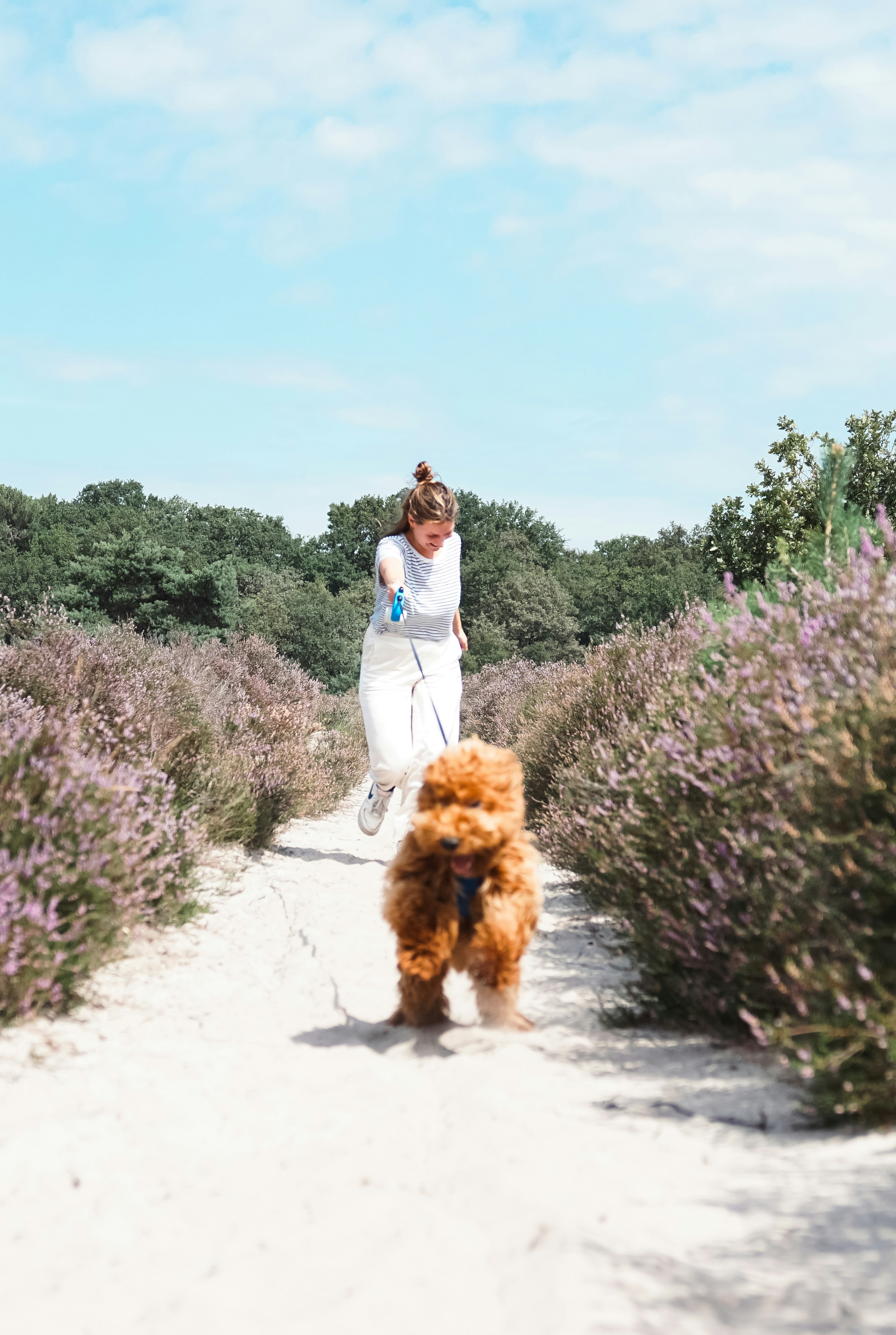 a woman walking a dog down a dirt road
