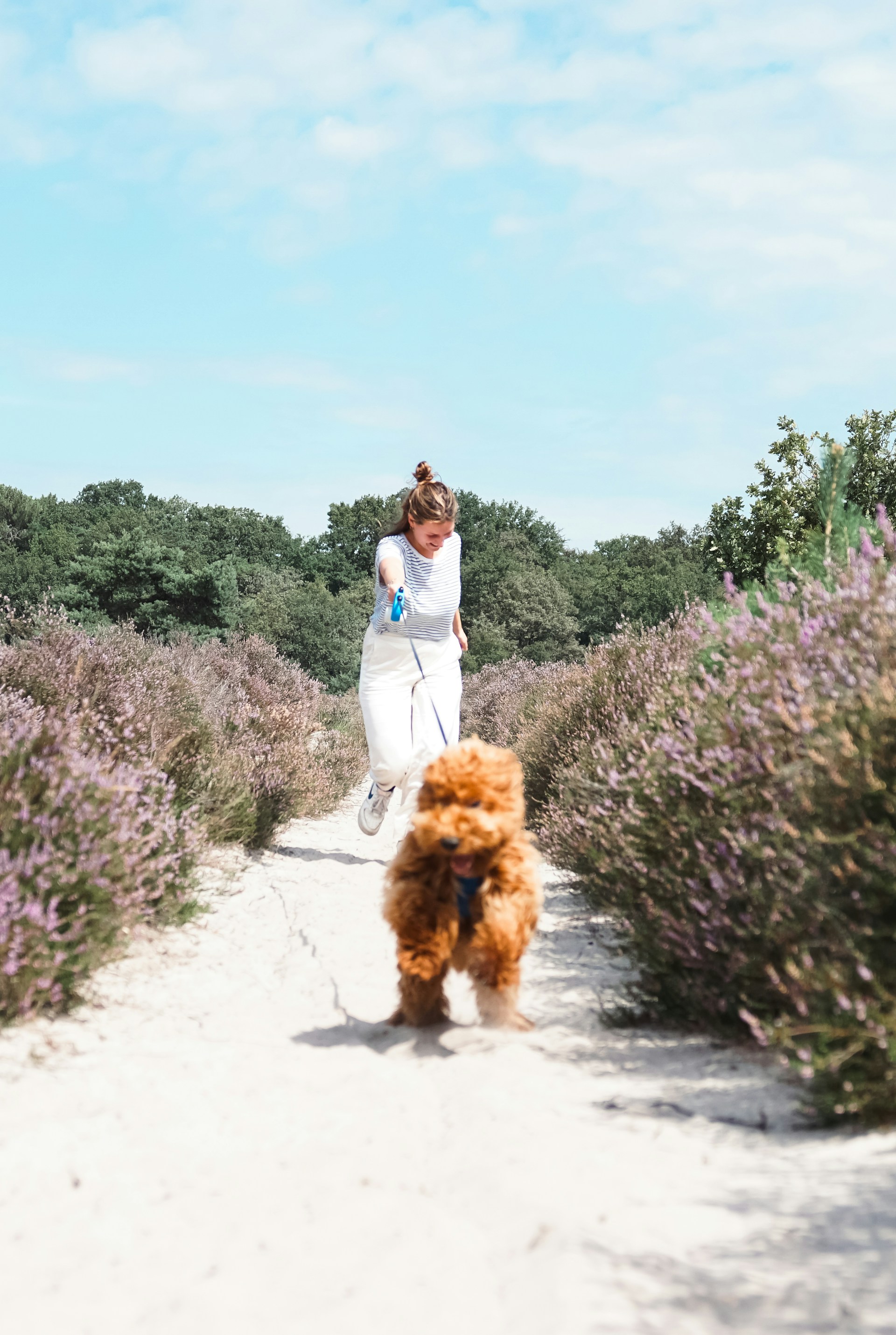 a woman walking a dog down a dirt road