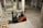 A forklift is parked indoors in a concrete industrial setting, with an empty wooden crate on the ground nearby. The walls are made of cinderblocks, and there are yellow direction arrows on the concrete floor.