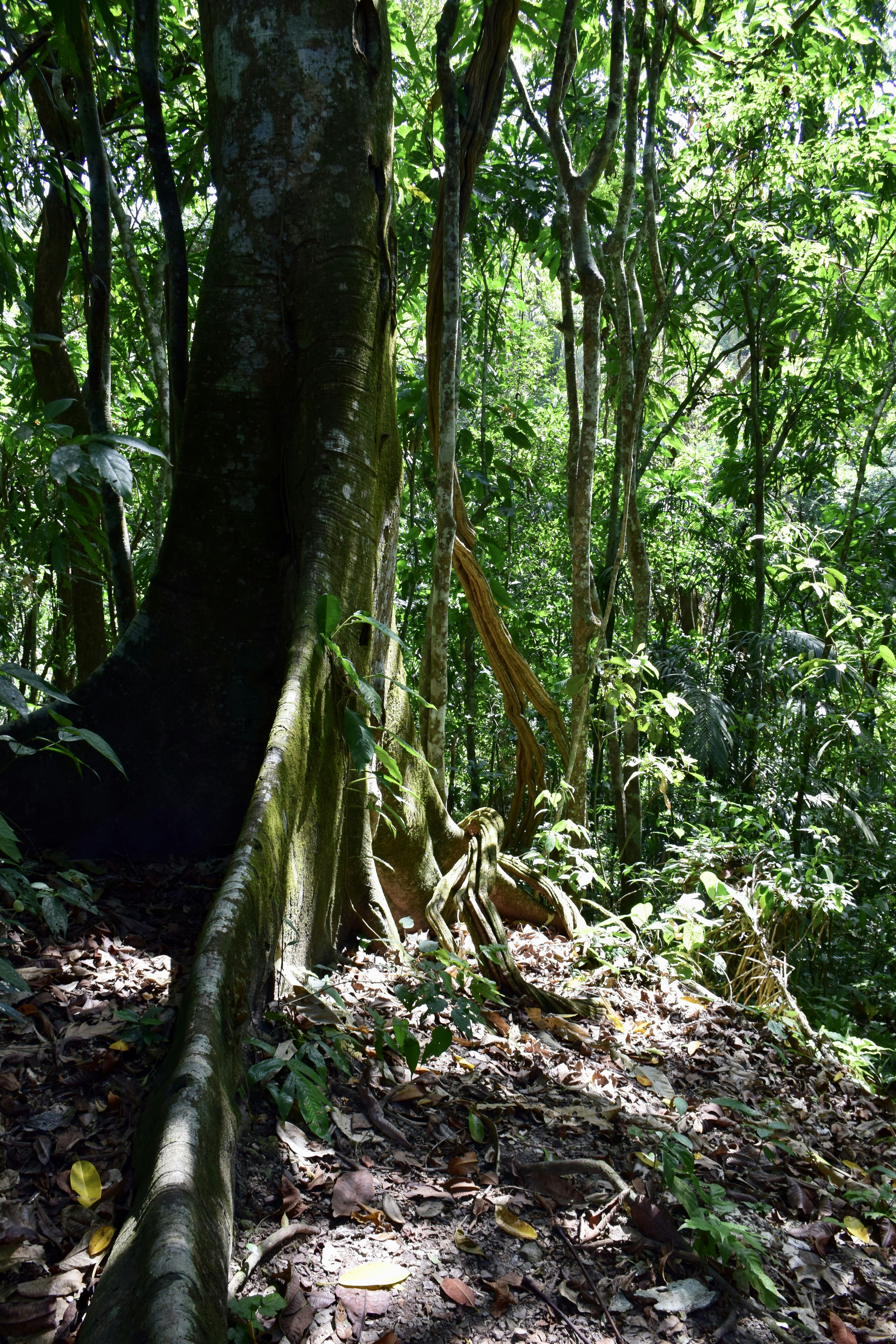 Photo by daniel_070696