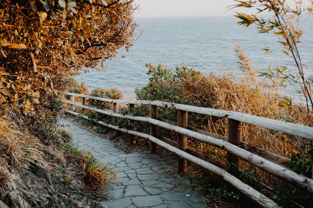 a wooden path leading to the ocean on a sunny day