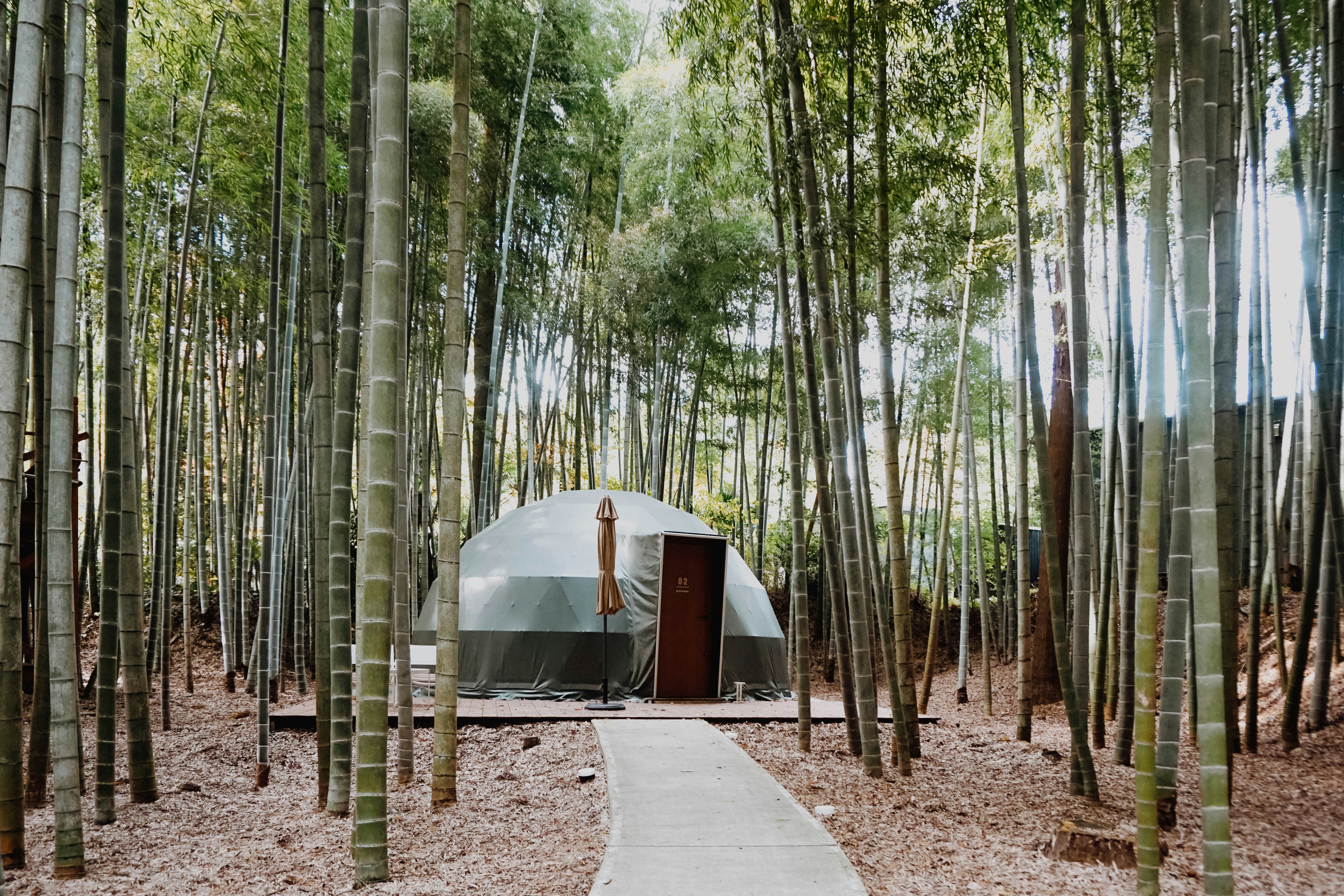 You are currently viewing Nurturing Nature: A Vision for Sustainable Village Communities for Women