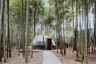 A geodesic dome structure is nestled among tall, dense bamboo trees, creating a serene and secluded atmosphere. The structure has neutral colors, with a wooden door in the front and an umbrella propped beside it. A narrow concrete path leads up to the dome, surrounded by dried leaves covering the ground.
