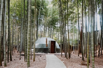 A geodesic dome structure is nestled among tall, dense bamboo trees, creating a serene and secluded atmosphere. The structure has neutral colors, with a wooden door in the front and an umbrella propped beside it. A narrow concrete path leads up to the dome, surrounded by dried leaves covering the ground.