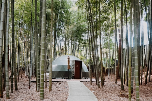 A geodesic dome structure is nestled among tall, dense bamboo trees, creating a serene and secluded atmosphere. The structure has neutral colors, with a wooden door in the front and an umbrella propped beside it. A narrow concrete path leads up to the dome, surrounded by dried leaves covering the ground.