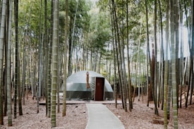 A geodesic dome structure is nestled among tall, dense bamboo trees, creating a serene and secluded atmosphere. The structure has neutral colors, with a wooden door in the front and an umbrella propped beside it. A narrow concrete path leads up to the dome, surrounded by dried leaves covering the ground.
