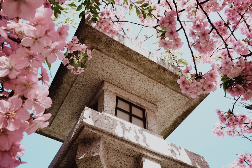 a tall building with pink flowers on it