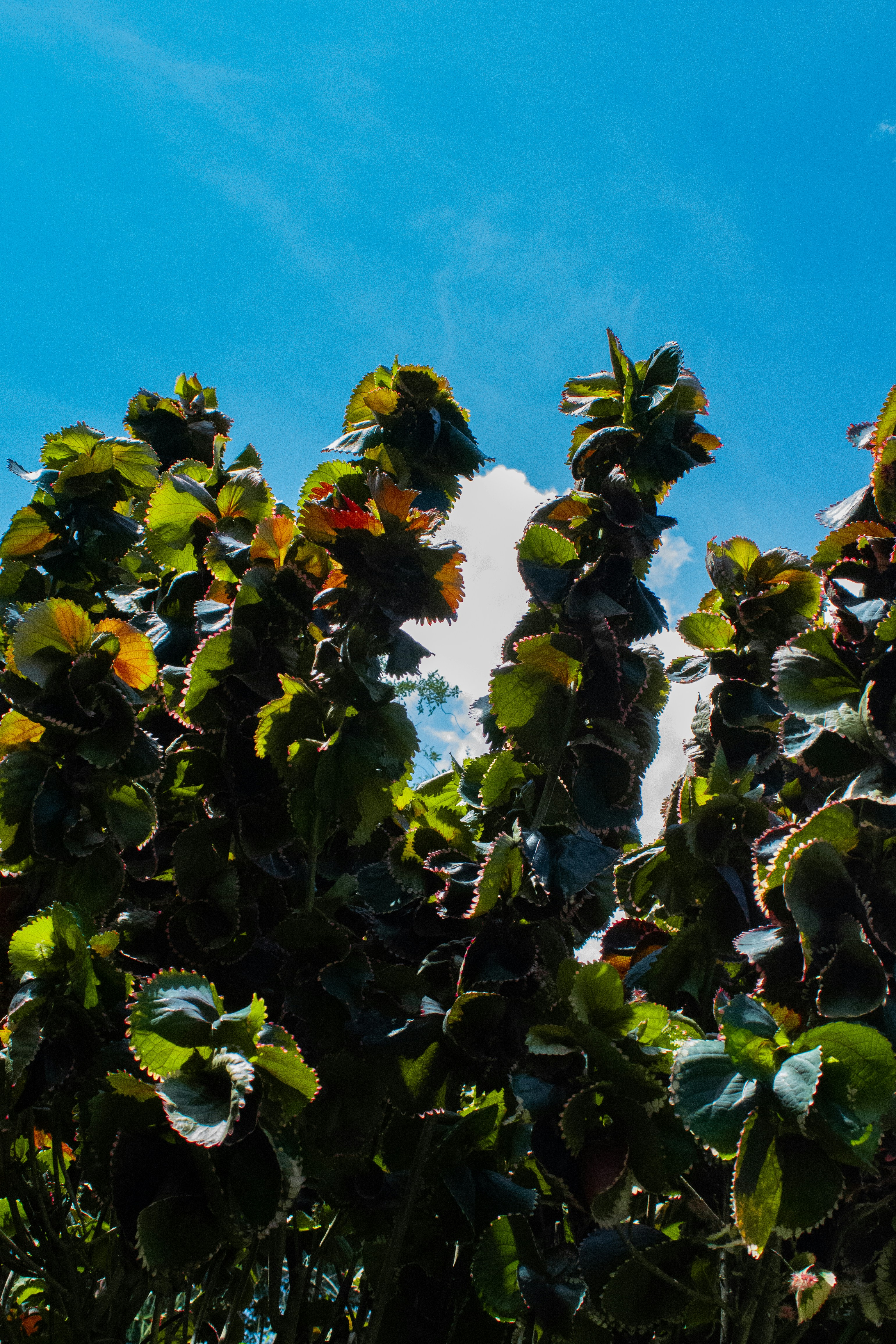 Photo by astro_civil