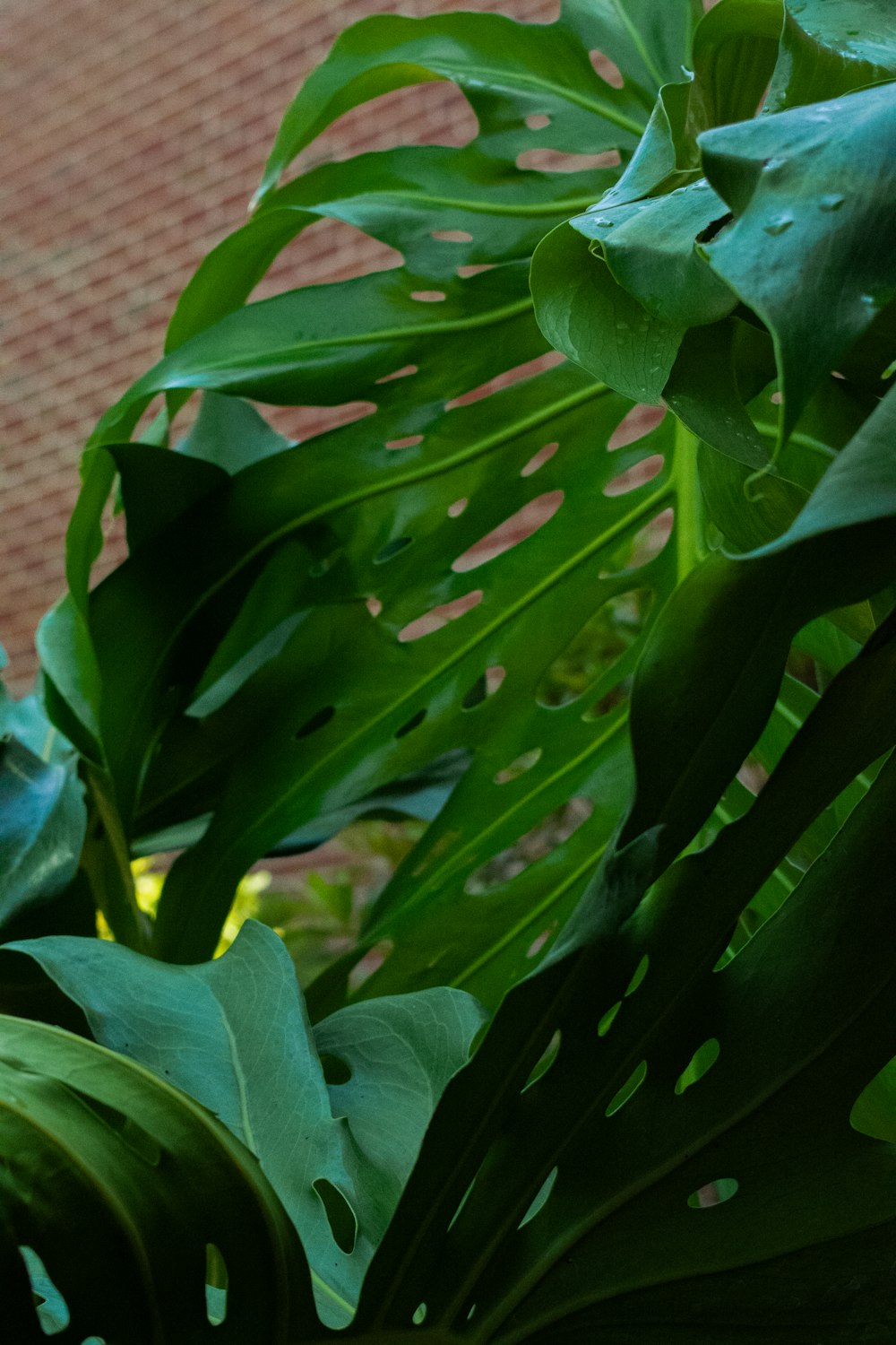 a bird perched on top of a lush green plant