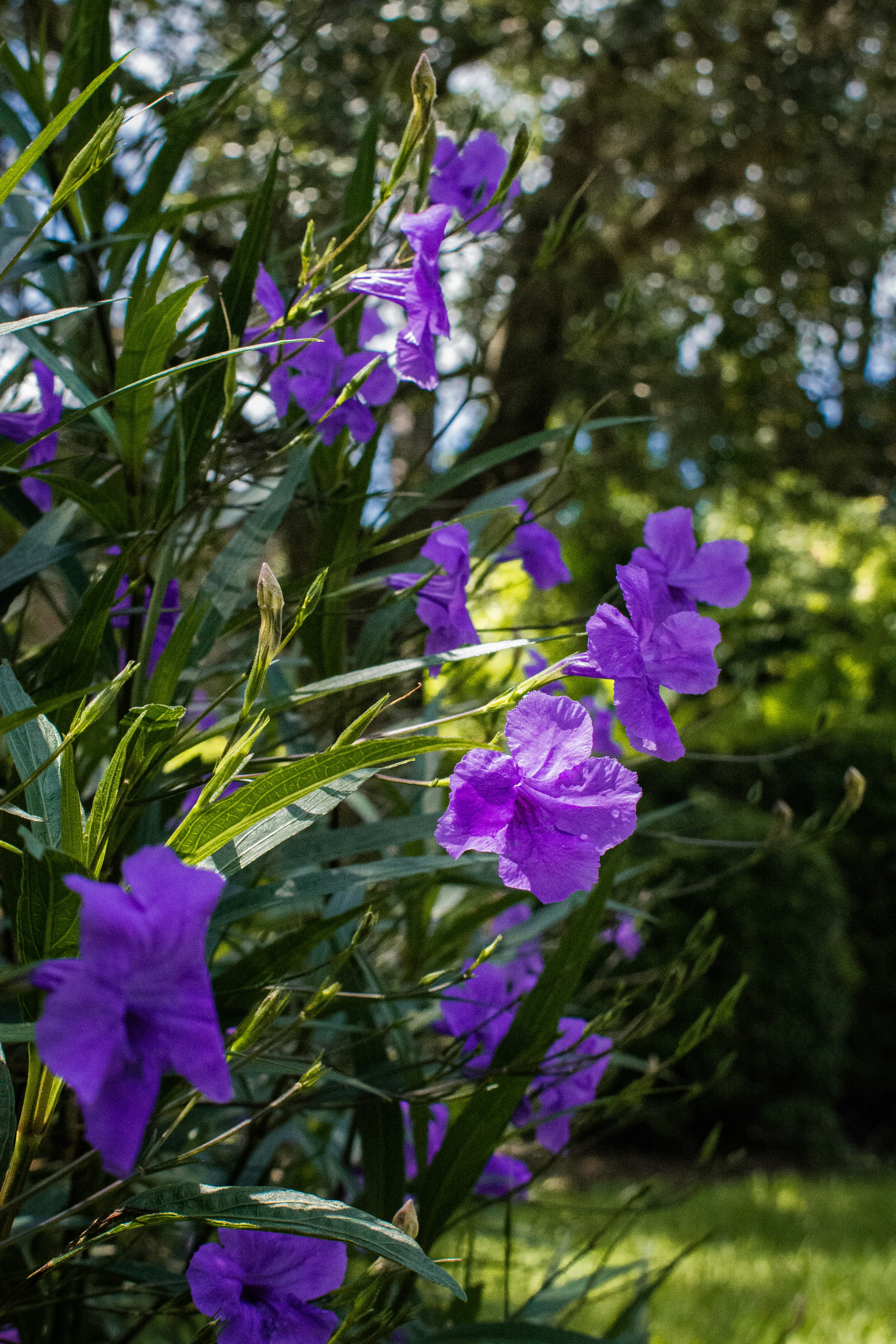 Photo by astro_civil