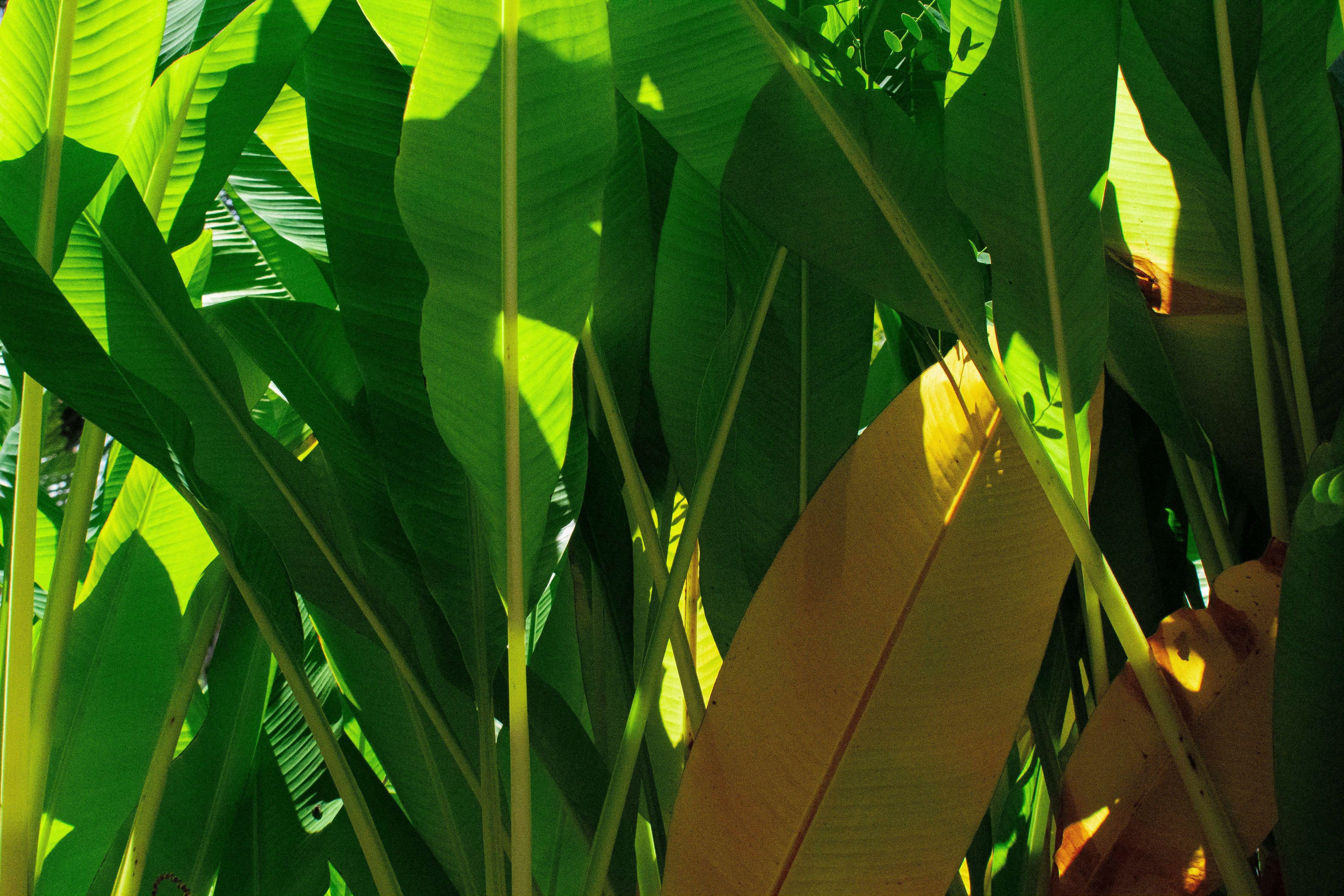 Photo by astro_civil