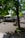A tree provides shade on a paved walkway in an urban setting, with pigeons gathered on the ground. Nearby, there is a bench and a series of planters with small plants. In the background, people can be seen walking along the street, and parked cars line the road.