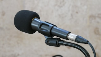 A black microphone with a windscreen cover is mounted on a stand against a blurred light brown background. The microphone has an attached cable visible in the foreground.