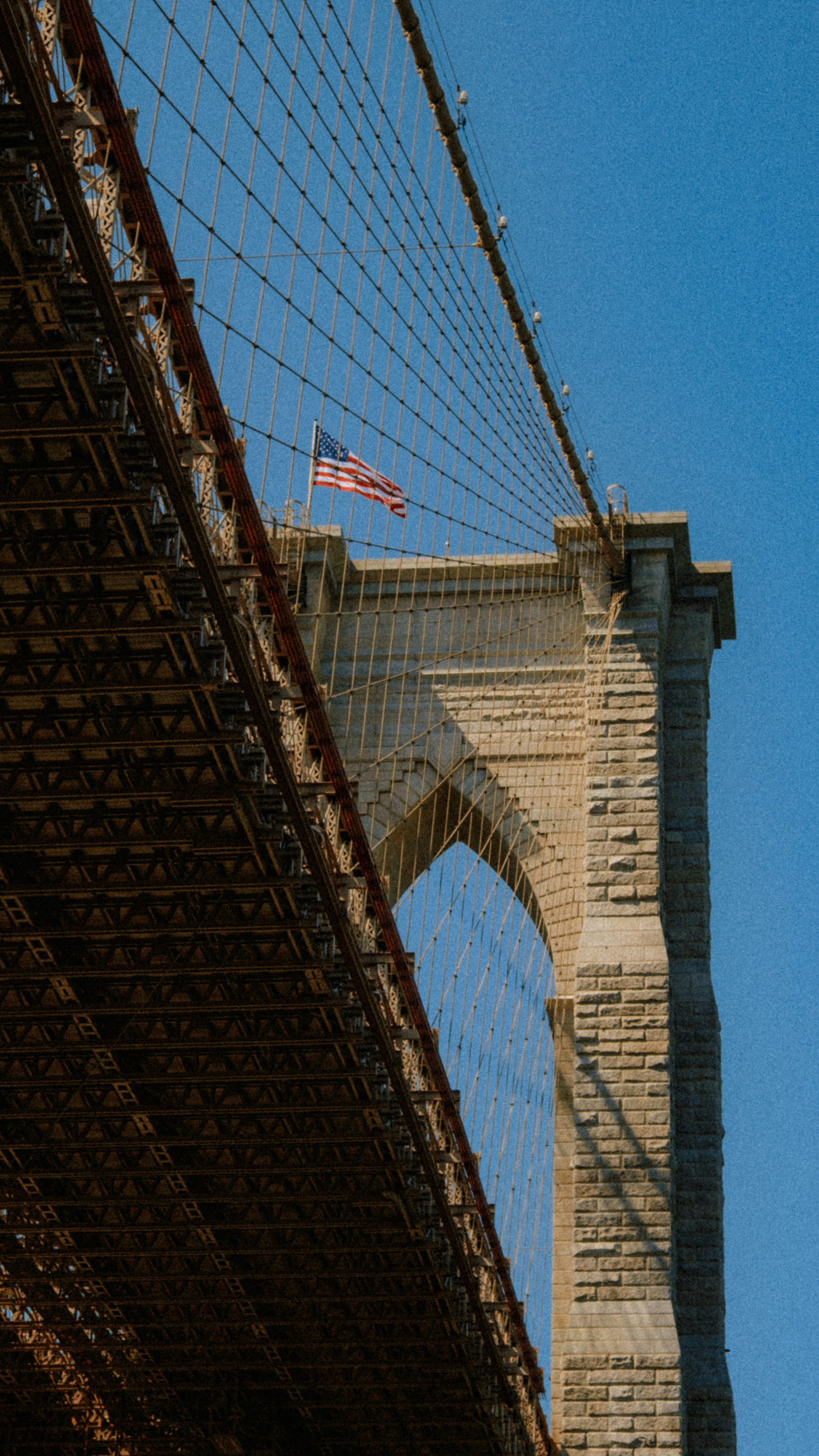 Photo by marsupialpudding