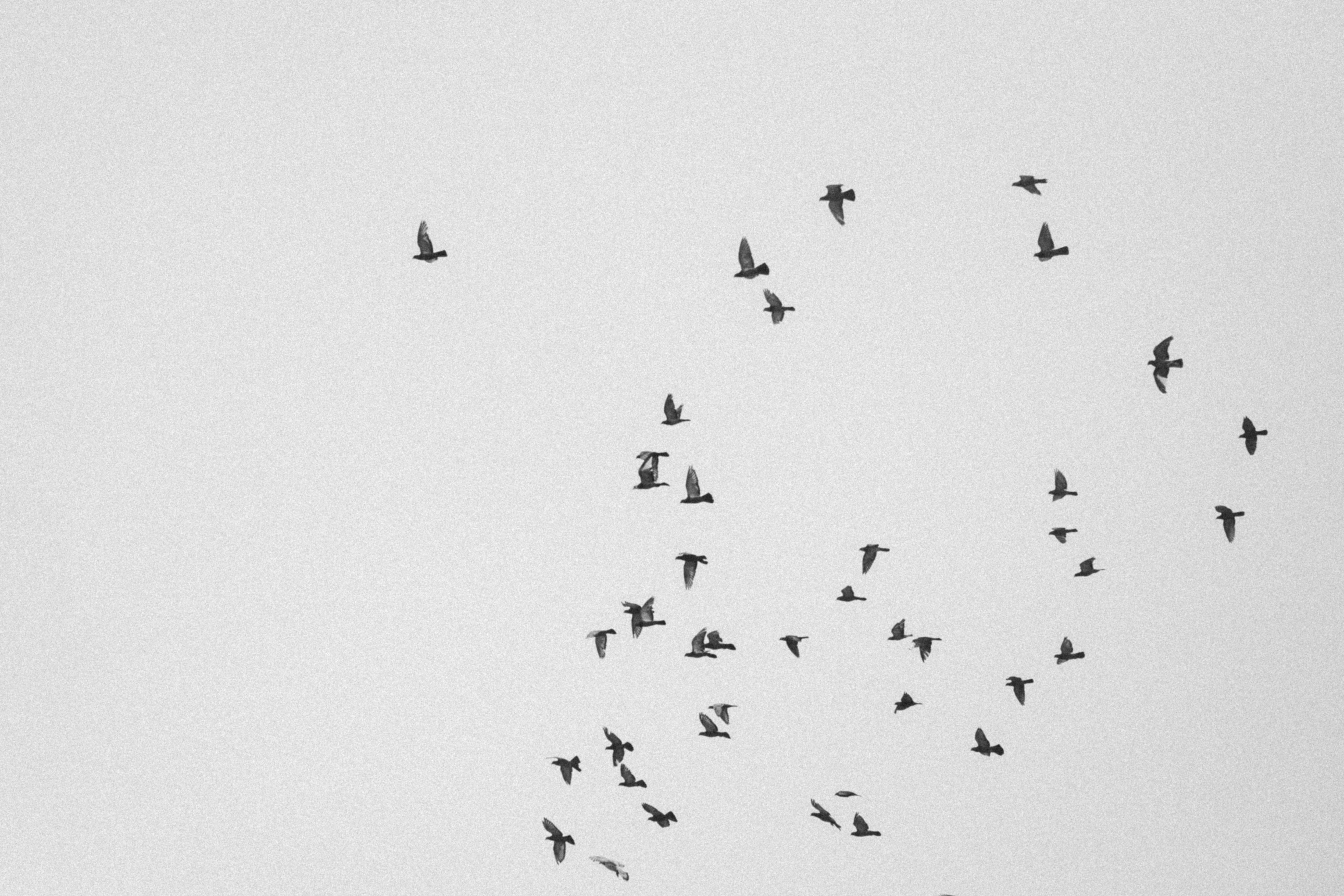 Photo by marsupialpudding