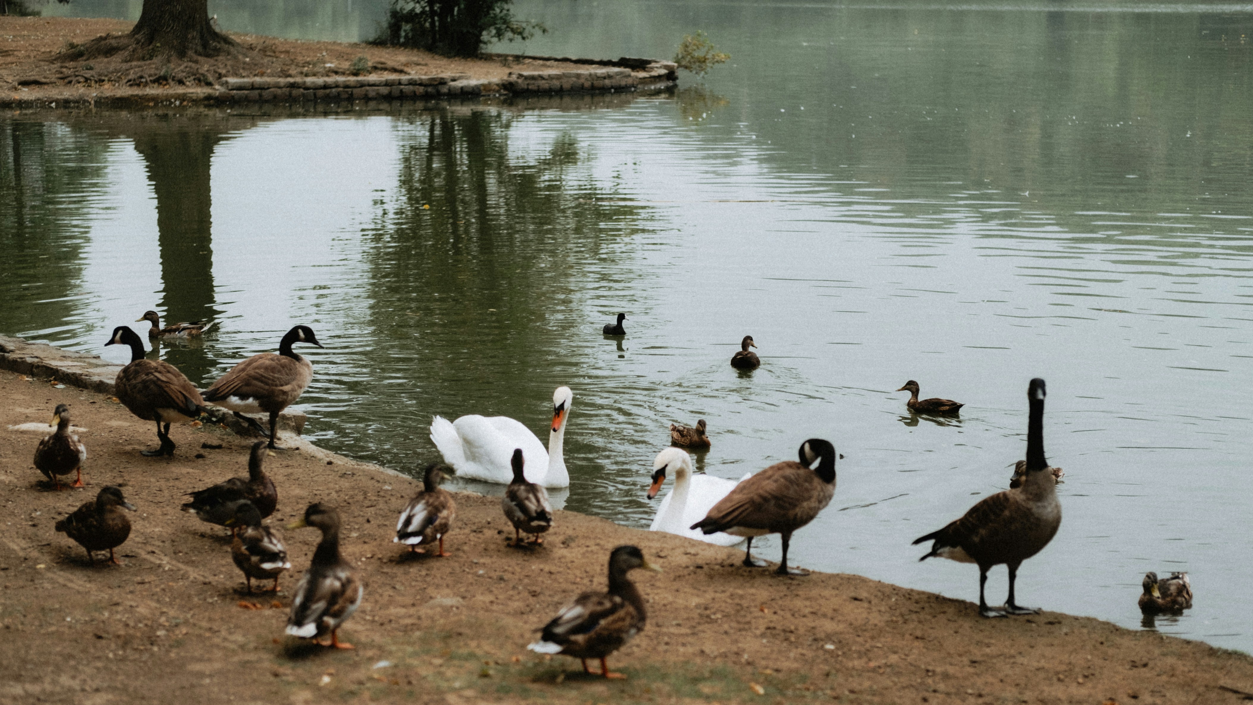 Photo by marsupialpudding