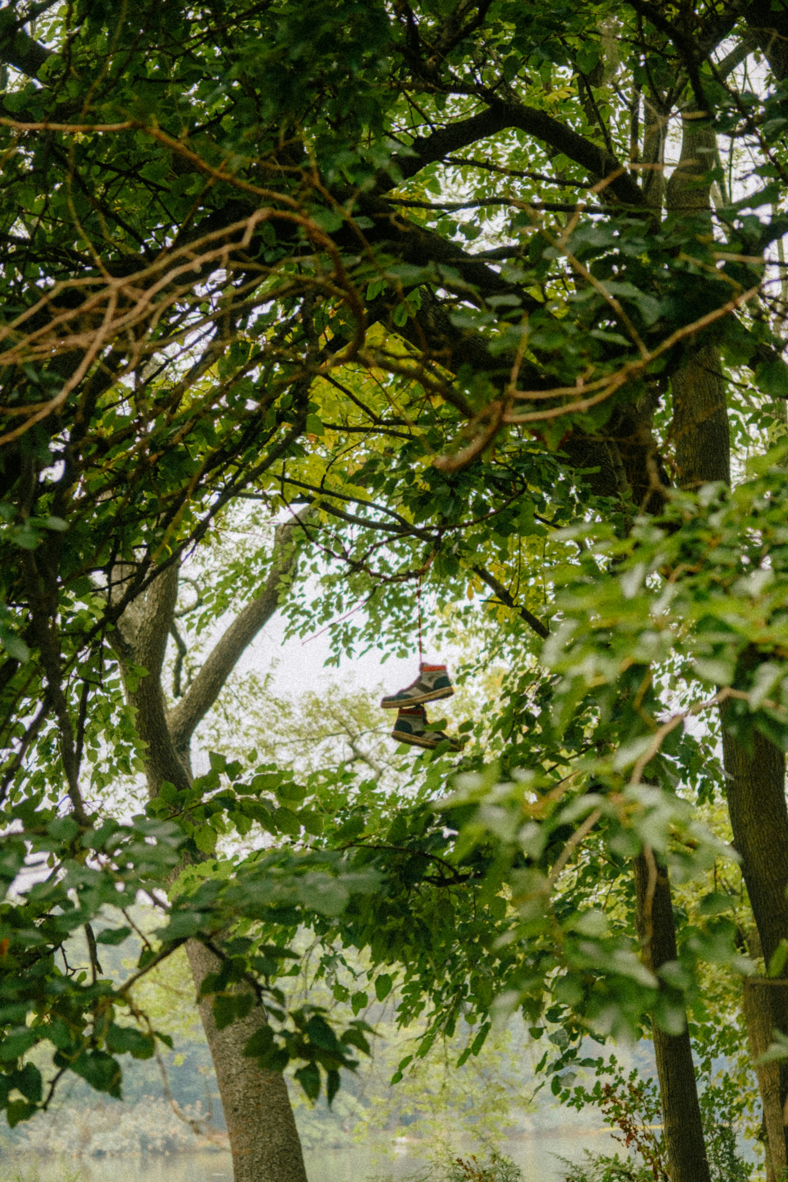 Photo by marsupialpudding