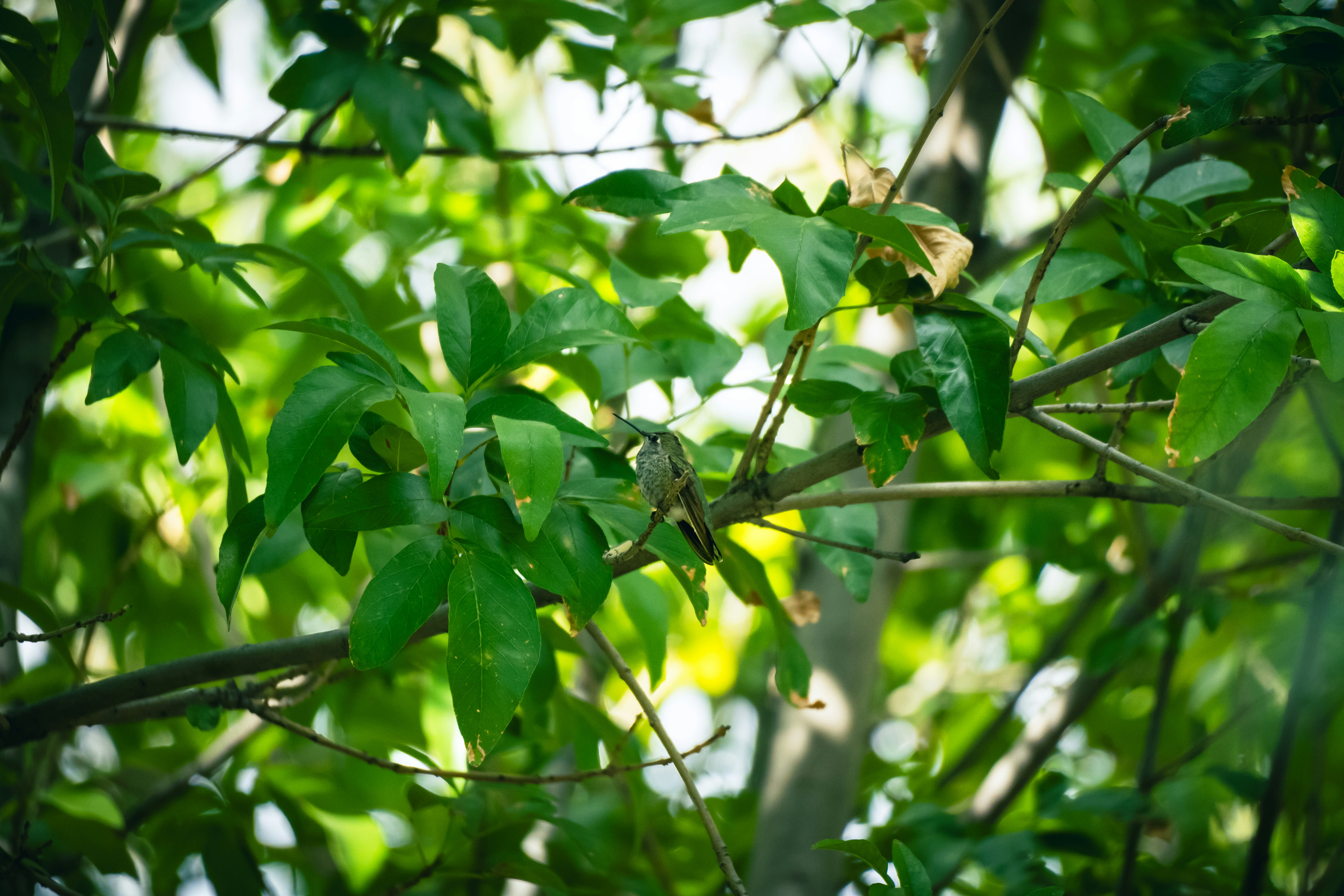 Photo by jcnonstop87