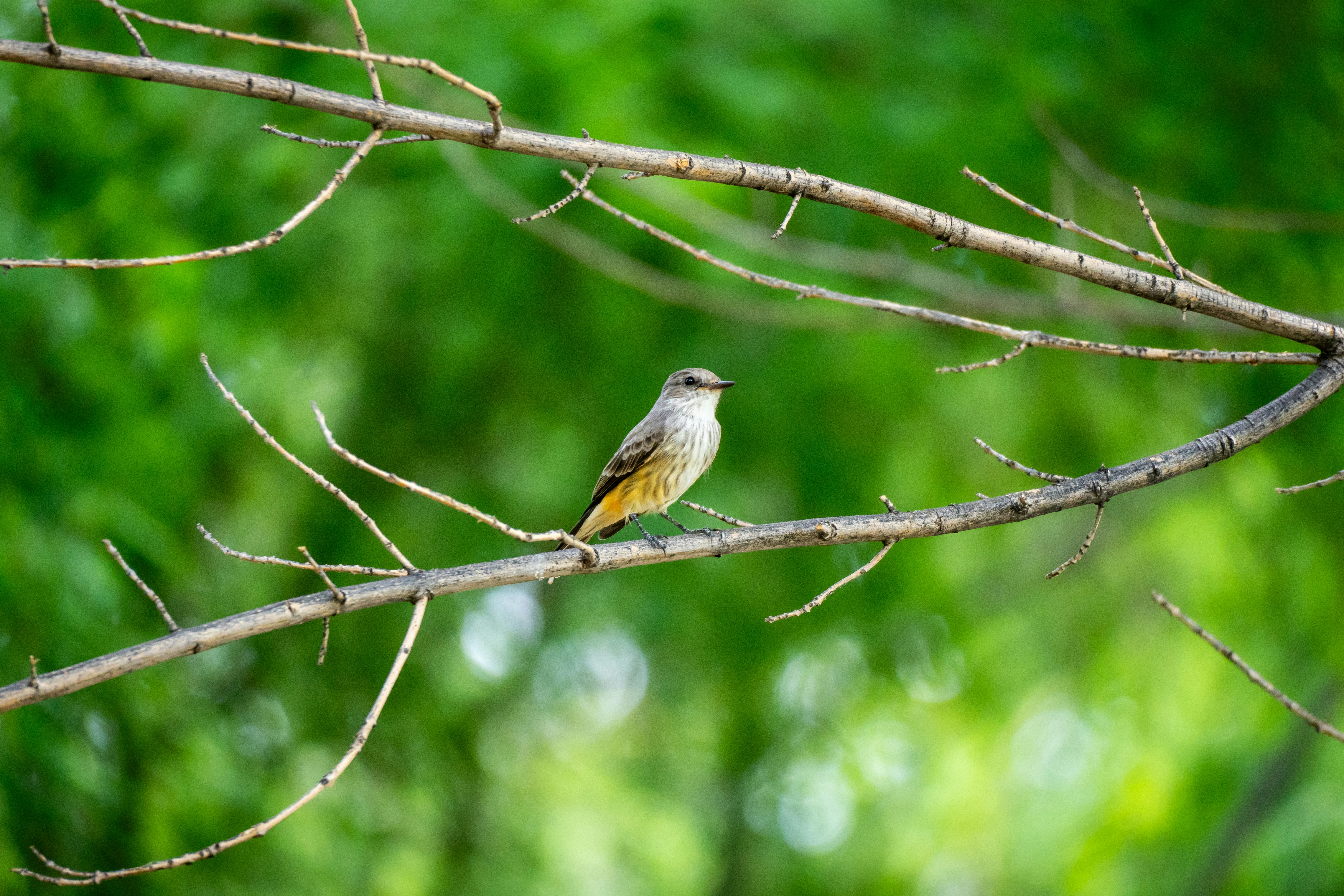 Photo by jcnonstop87