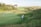 A lush, green golf course stretches across the landscape with several people gathered near the edge of one of the fairways. The scene is surrounded by gentle hills and dense clusters of trees under a clear sky.