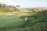 A group of friends enjoying golf on a sunny outback course surrounded by native trees.