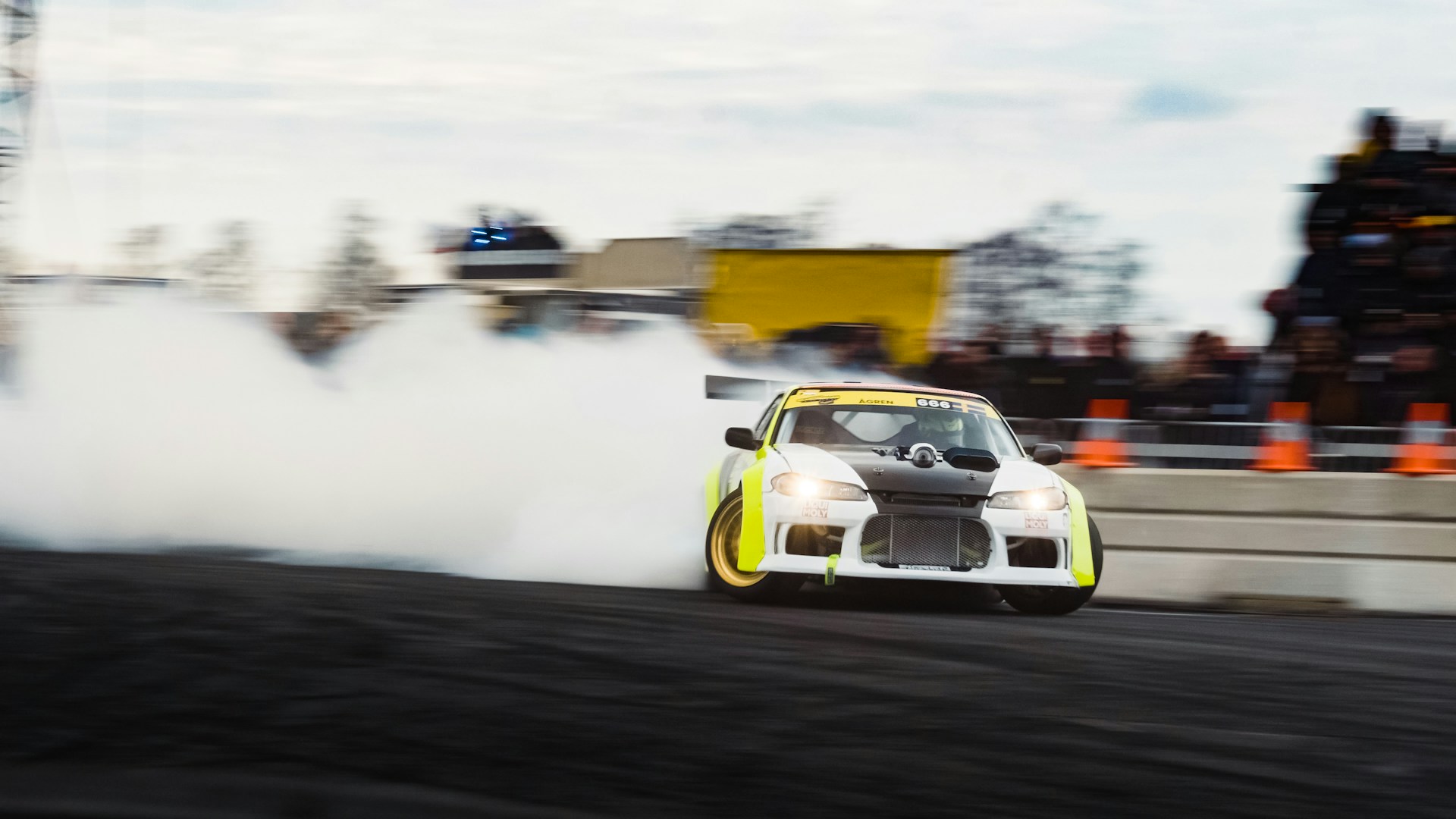 woman holding dried flower